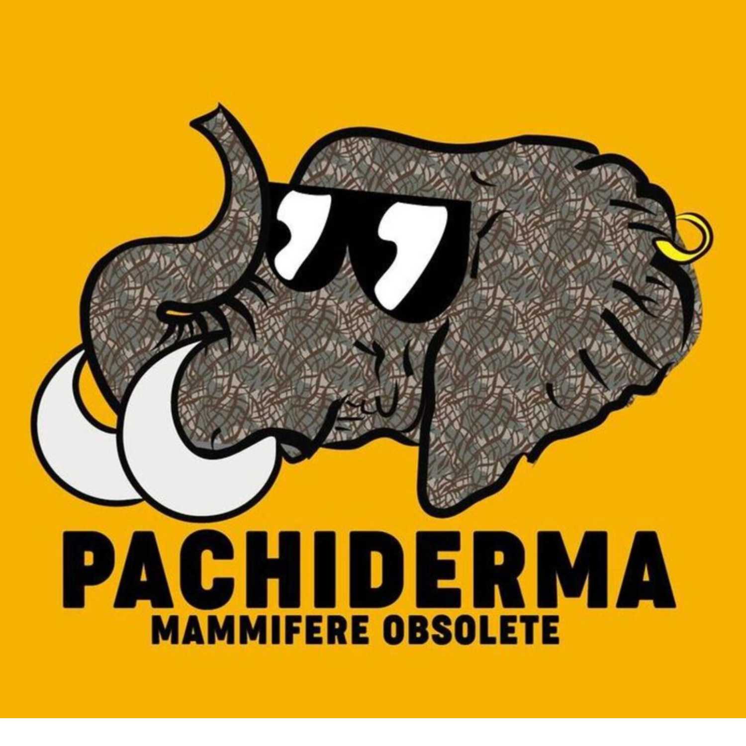 Pachiderma Podcast