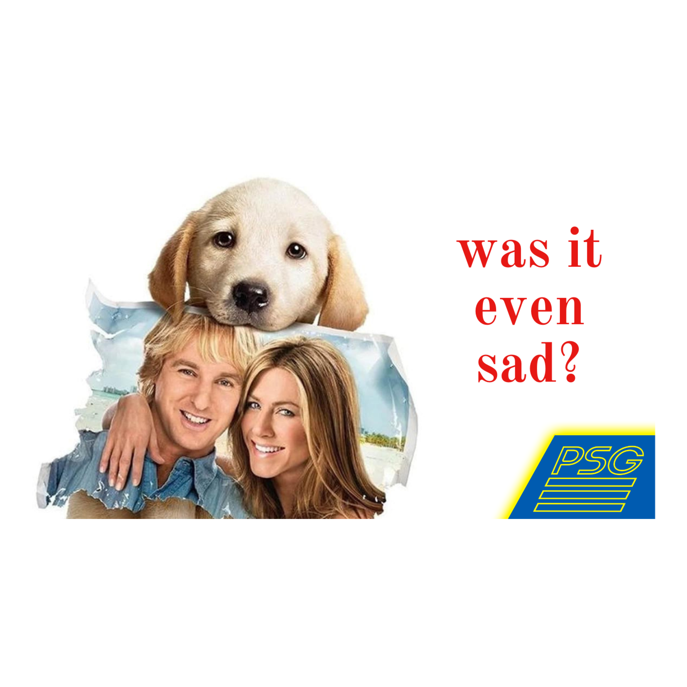 Three grown adults watch Marley and Me