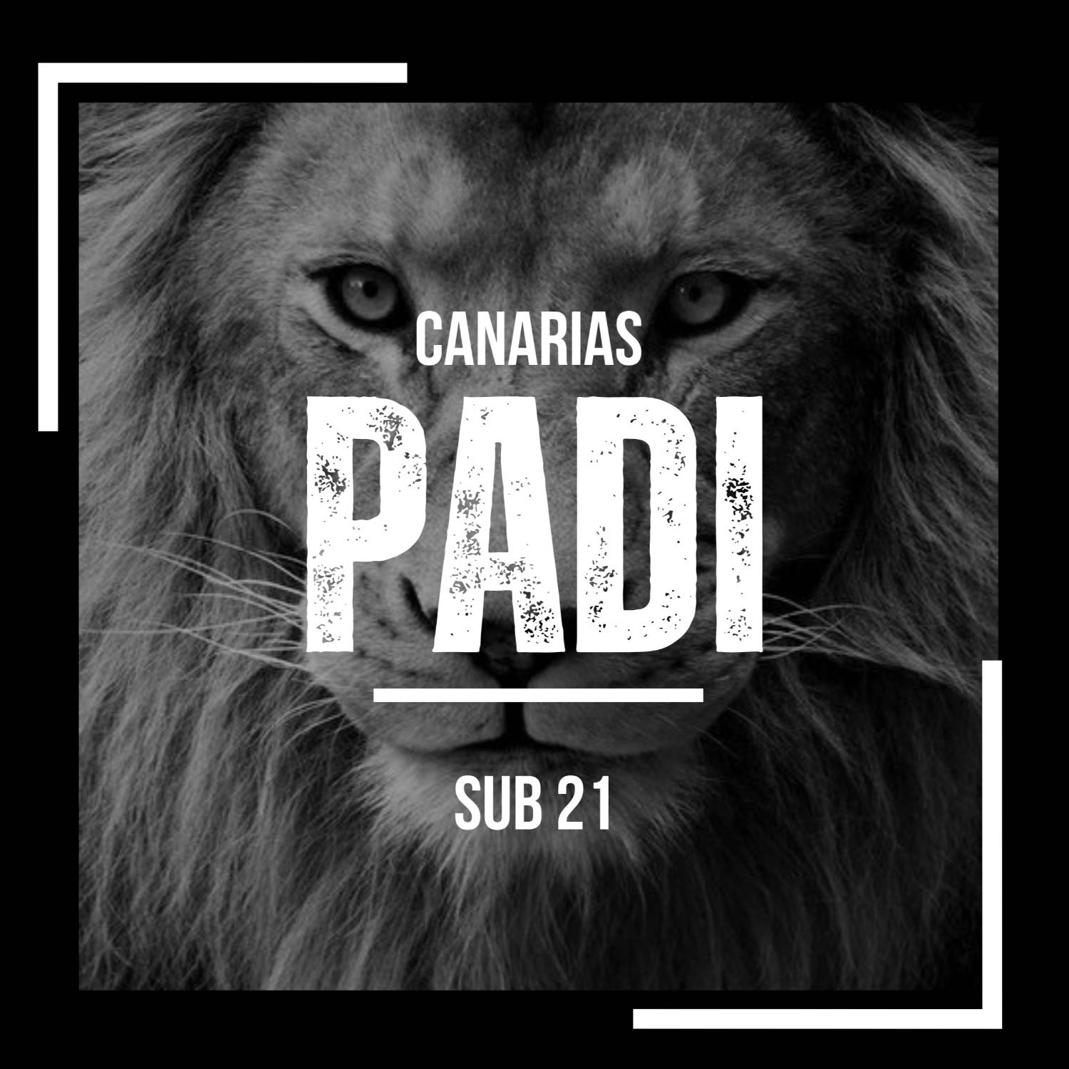 PADI DJ SETS