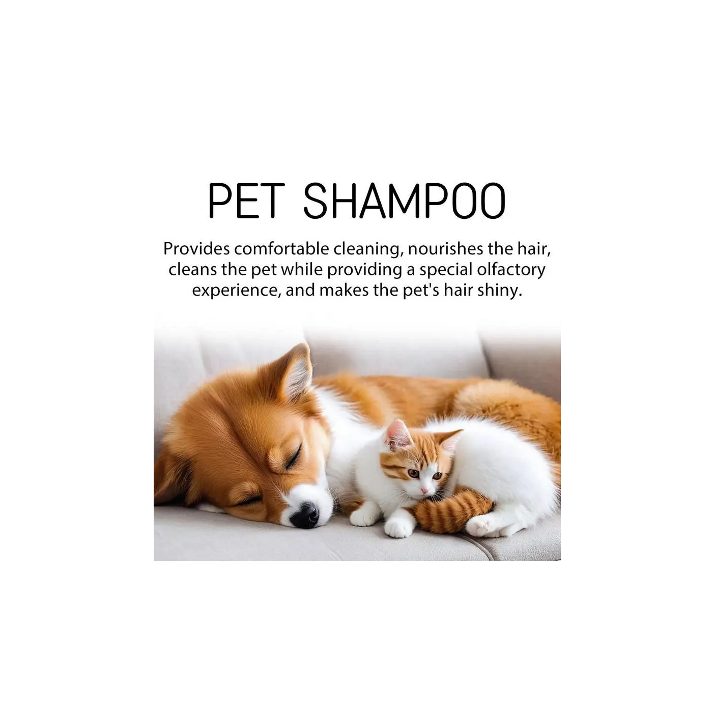 Unleash Your Pet's Radiance: The Ultimate Pet Grooming Kit episode artwork