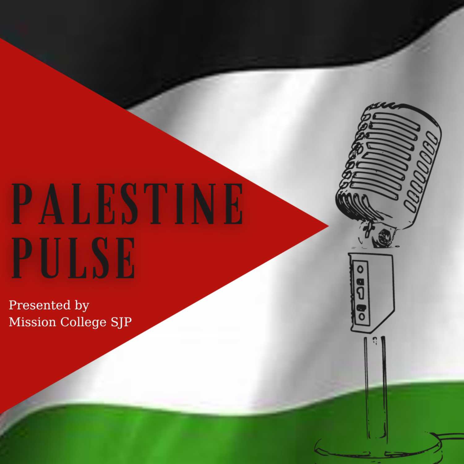 Palestine Pulse