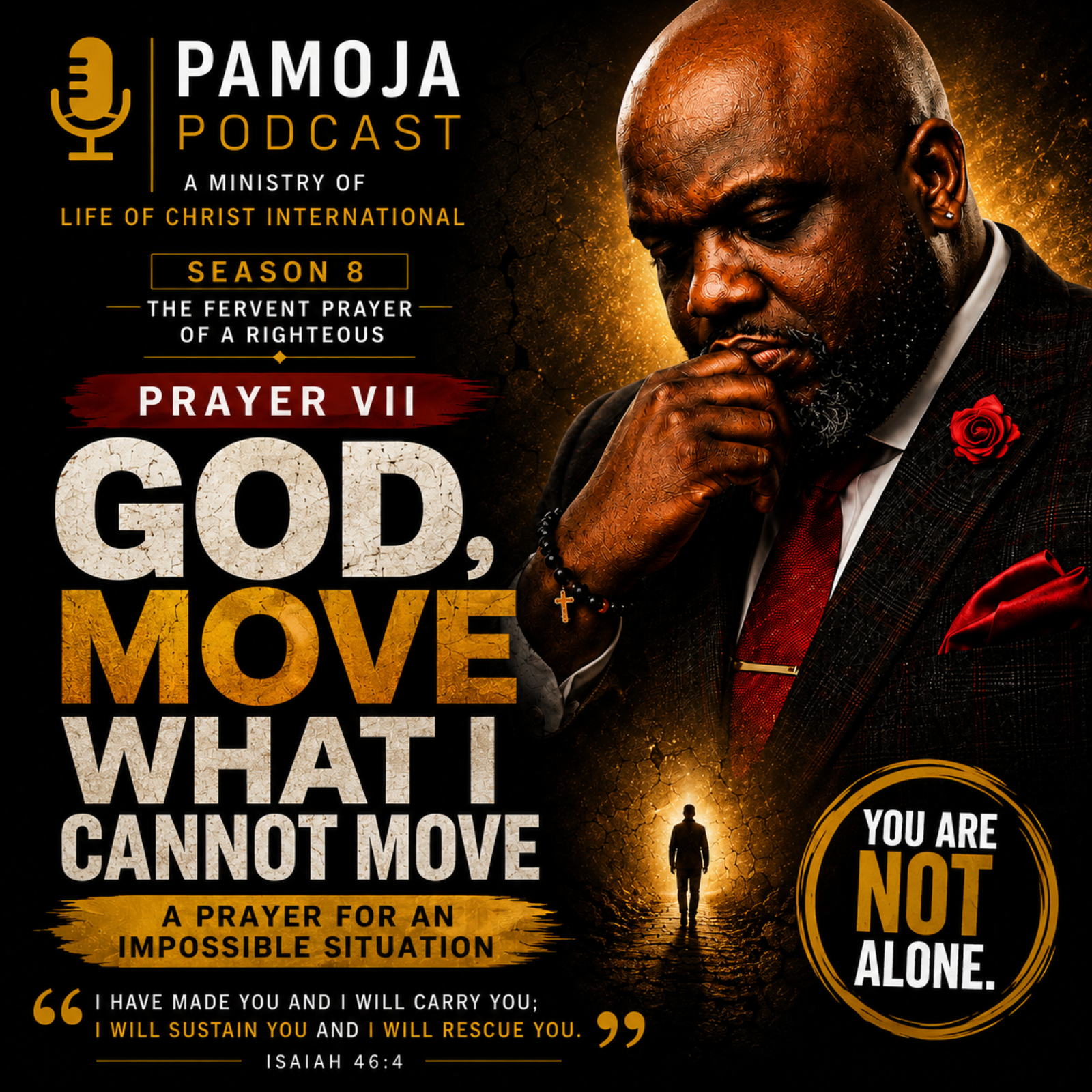 THE HOUSE OF PRAYER-THE FERVENT PRAYER OF A RIGHTEOUS  Prayer VII — GOD, MOVE WHAT I CANNOT MOVE  episode artwork