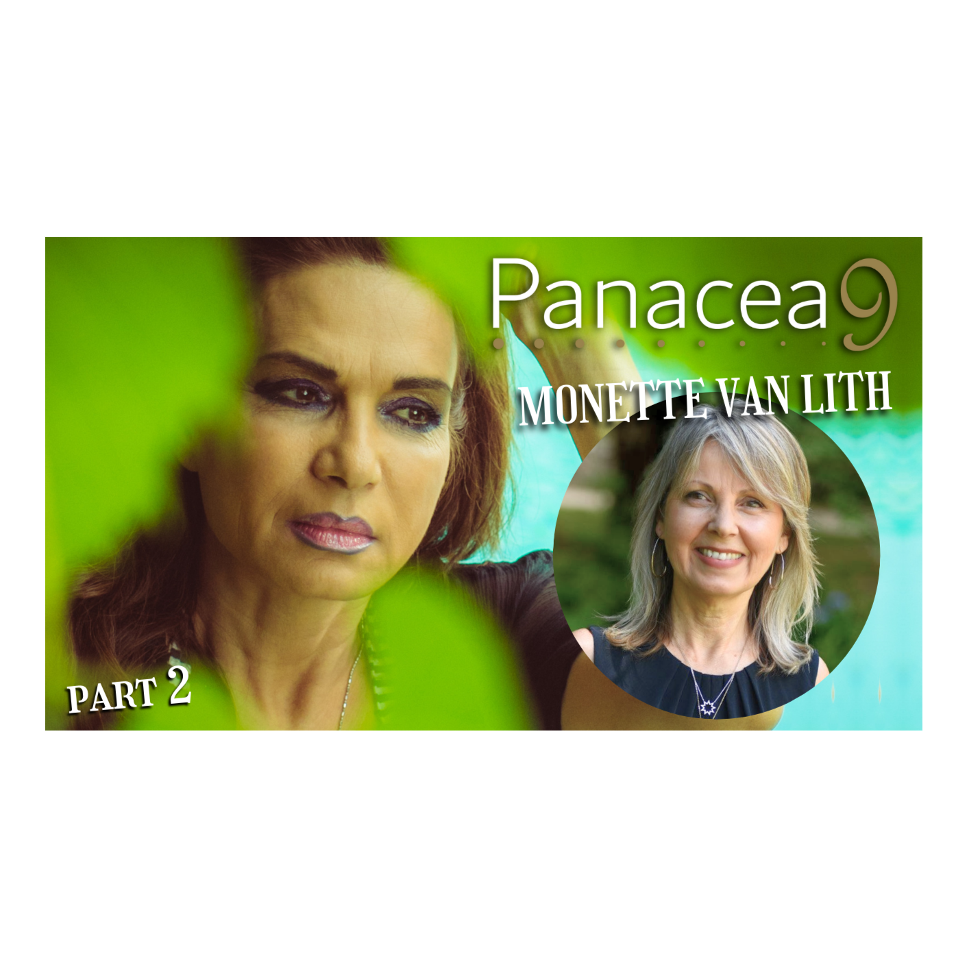 Family, Work, and Cultural Unity | Monette Van Lith | Panacea9 Podcast, Ep. 20