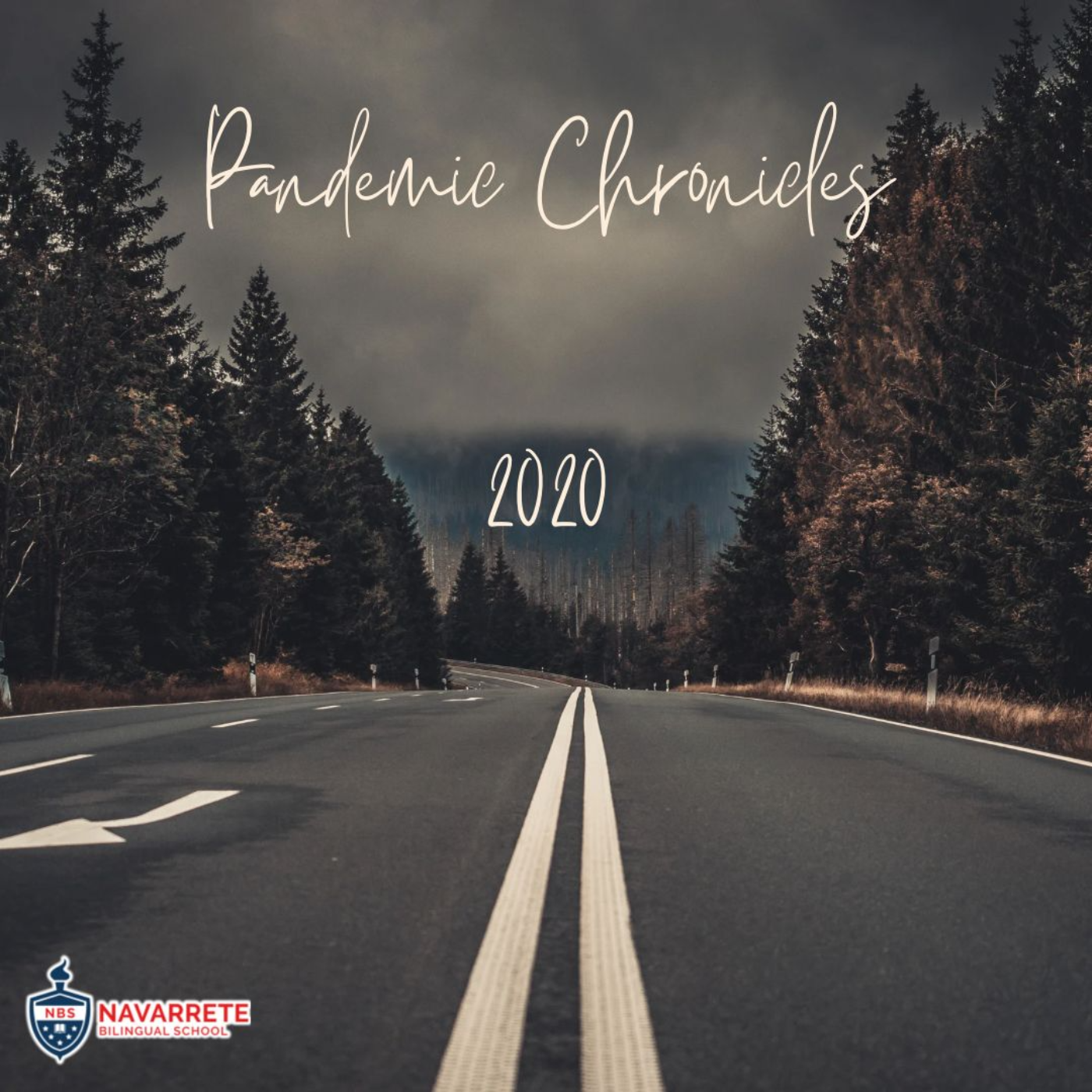 Pandemic Chronicles: Navigating 2020 and Beyond.