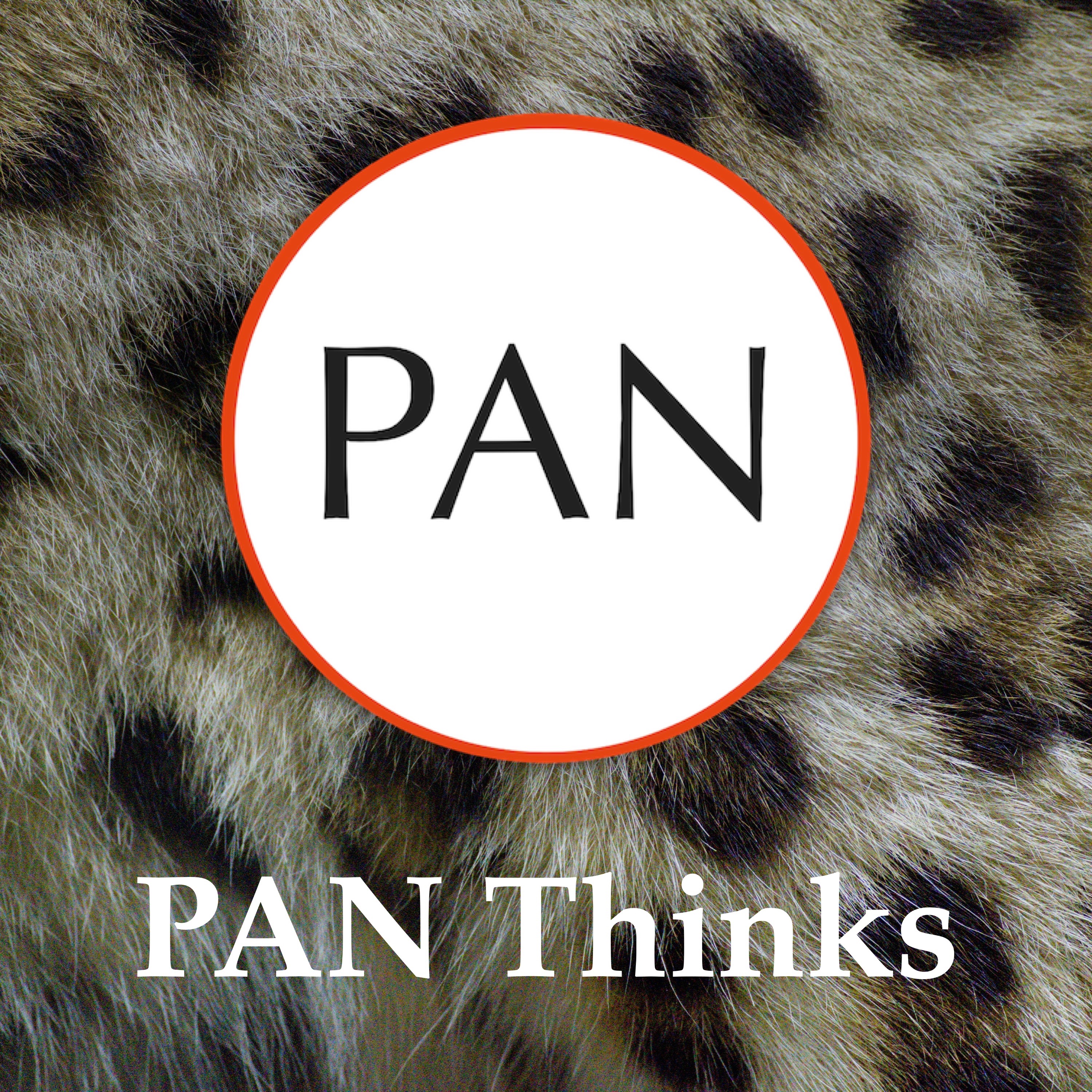 PAN Thinks