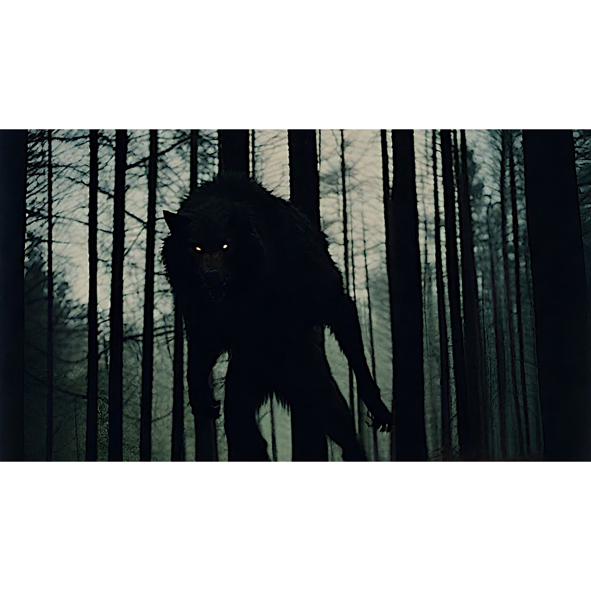 Shapeshifters
