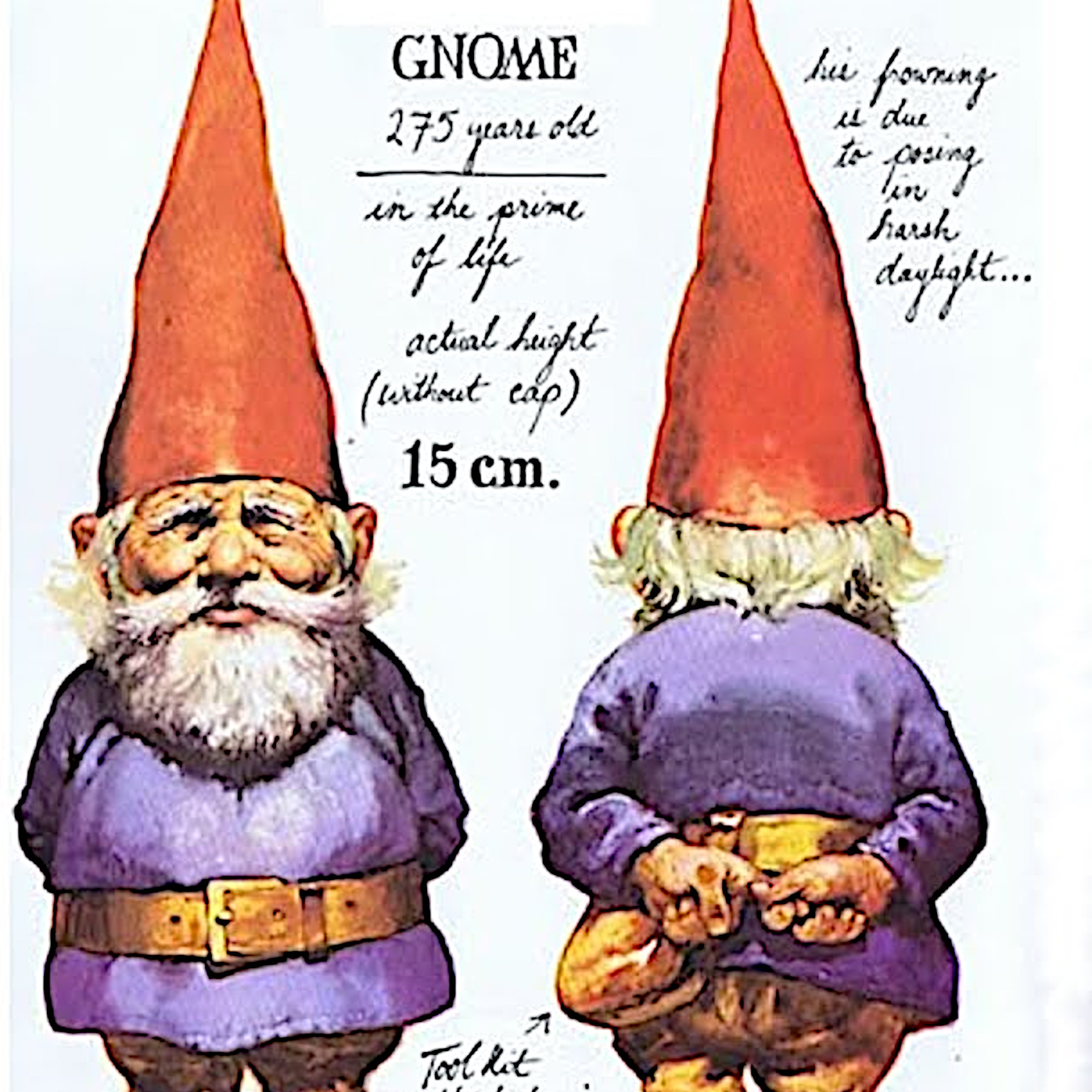Gnomes episode artwork