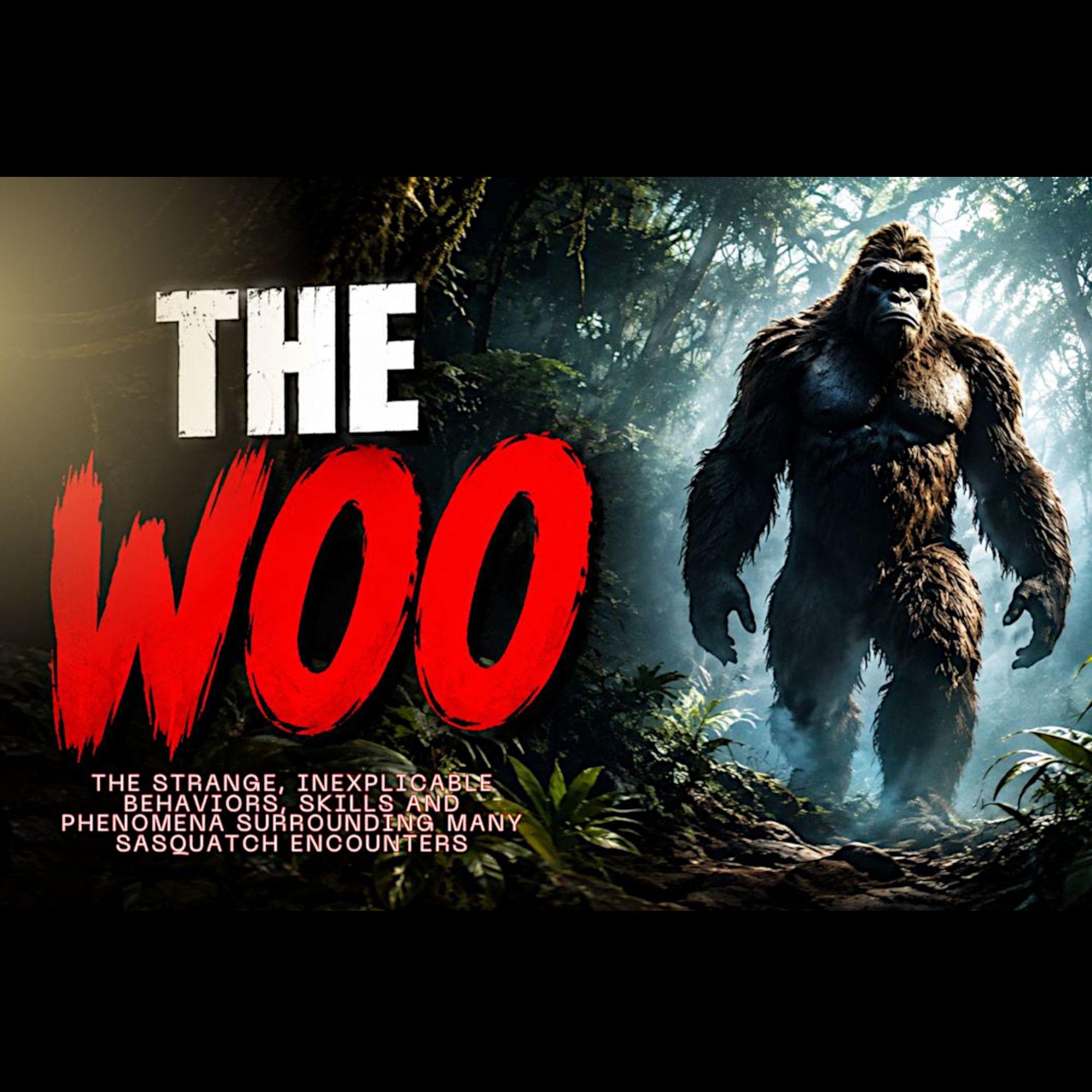 The Woo episode artwork