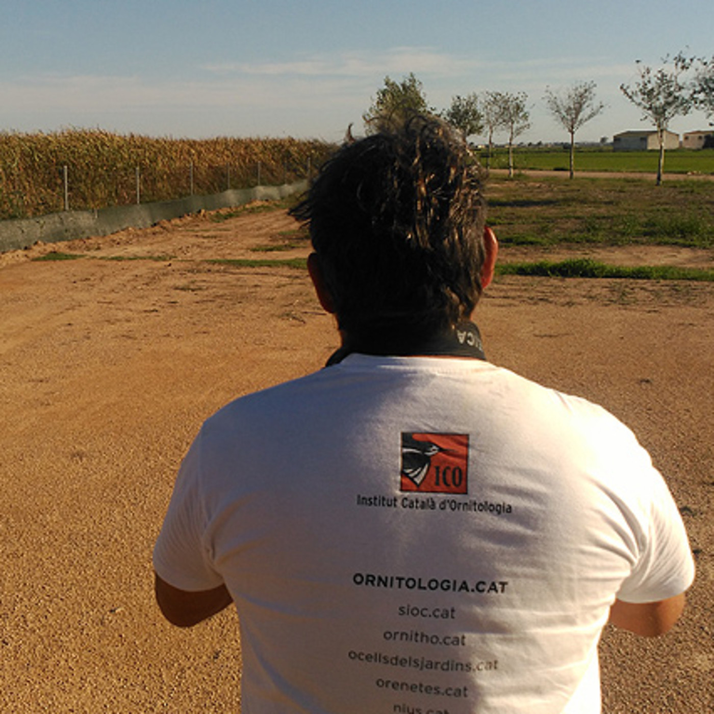 Parlem de moixons