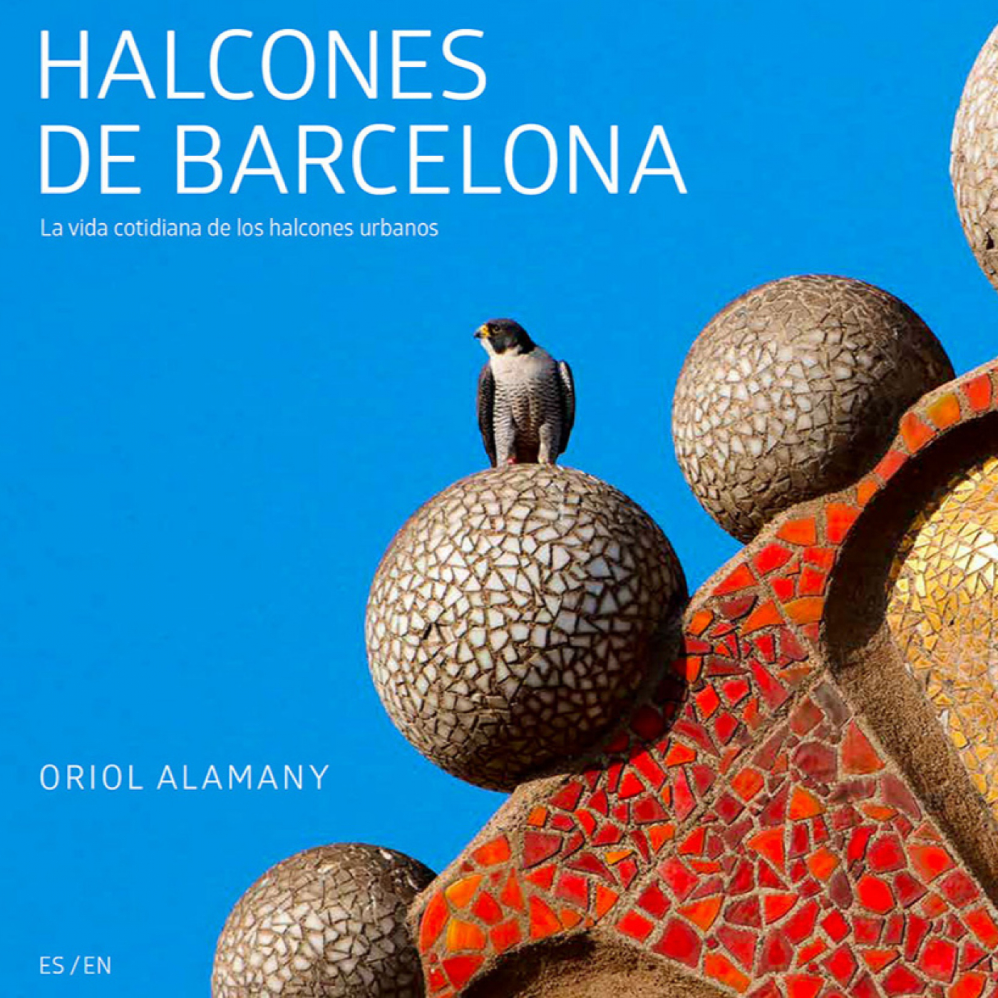 Parlem de moixons