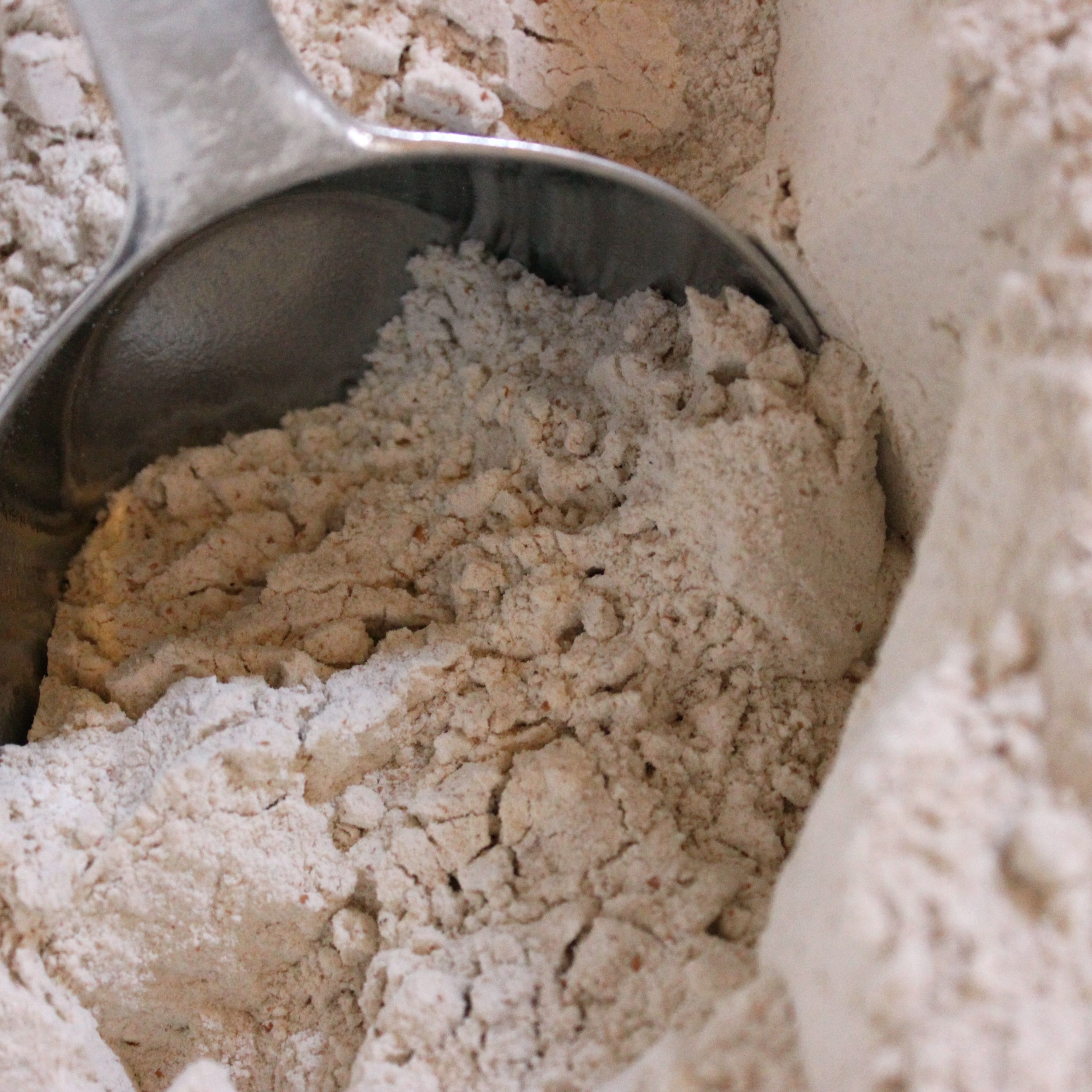 Rebroadcast: Tzav: Earning a Place in this World