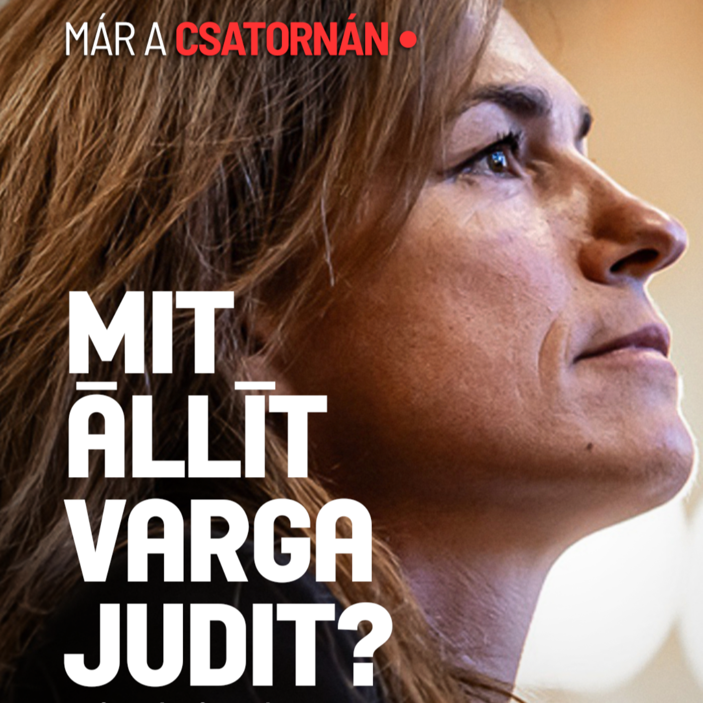 Mi volt Varga Judit stratégiája? Miklósi Gábor a Völner-Schadl ügy tárgyalásáról
