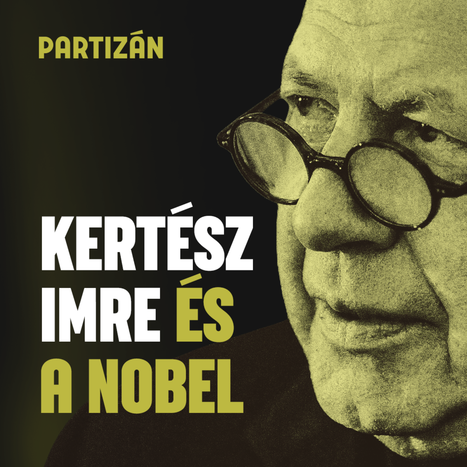 Kertész Imre életműve | A holokauszt nem zsidó-ügy