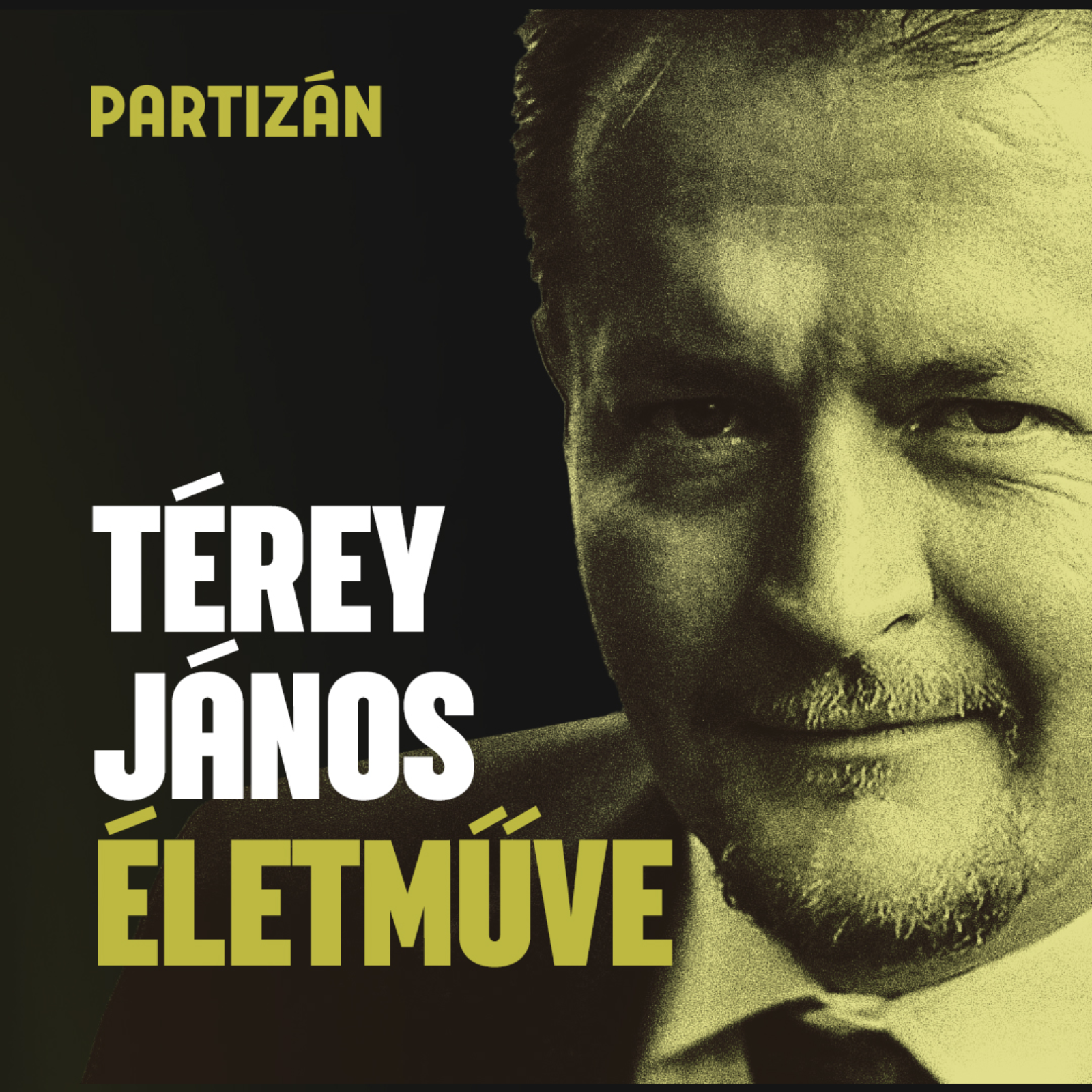 Miért olvassunk Térey Jánost? | Az irodalom küzdőtér, Kosztolányit is le kell győzni