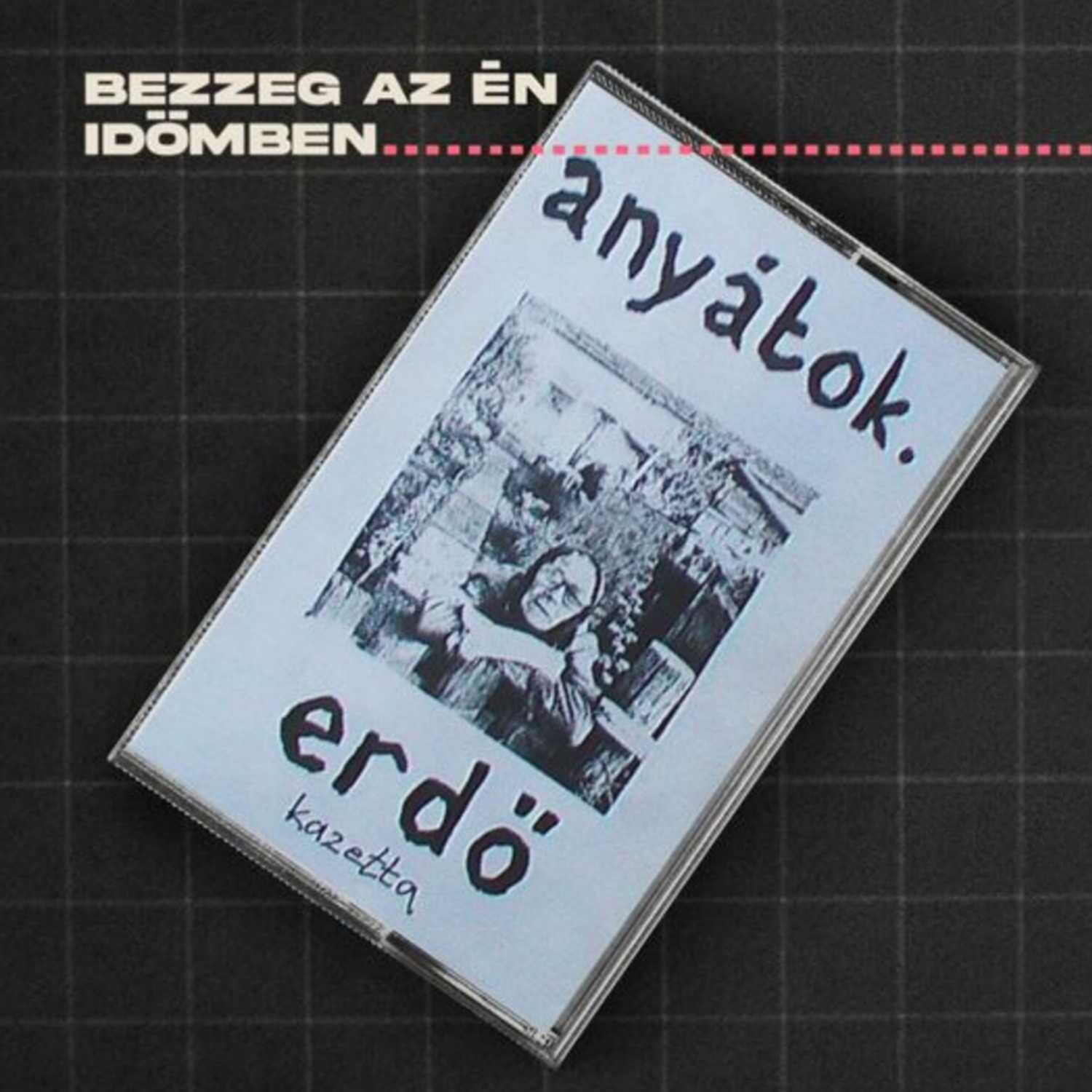 A fogyasztó vagy a rendszer öli a bolygót? A tűzifarendelettől a klímaszorongásig