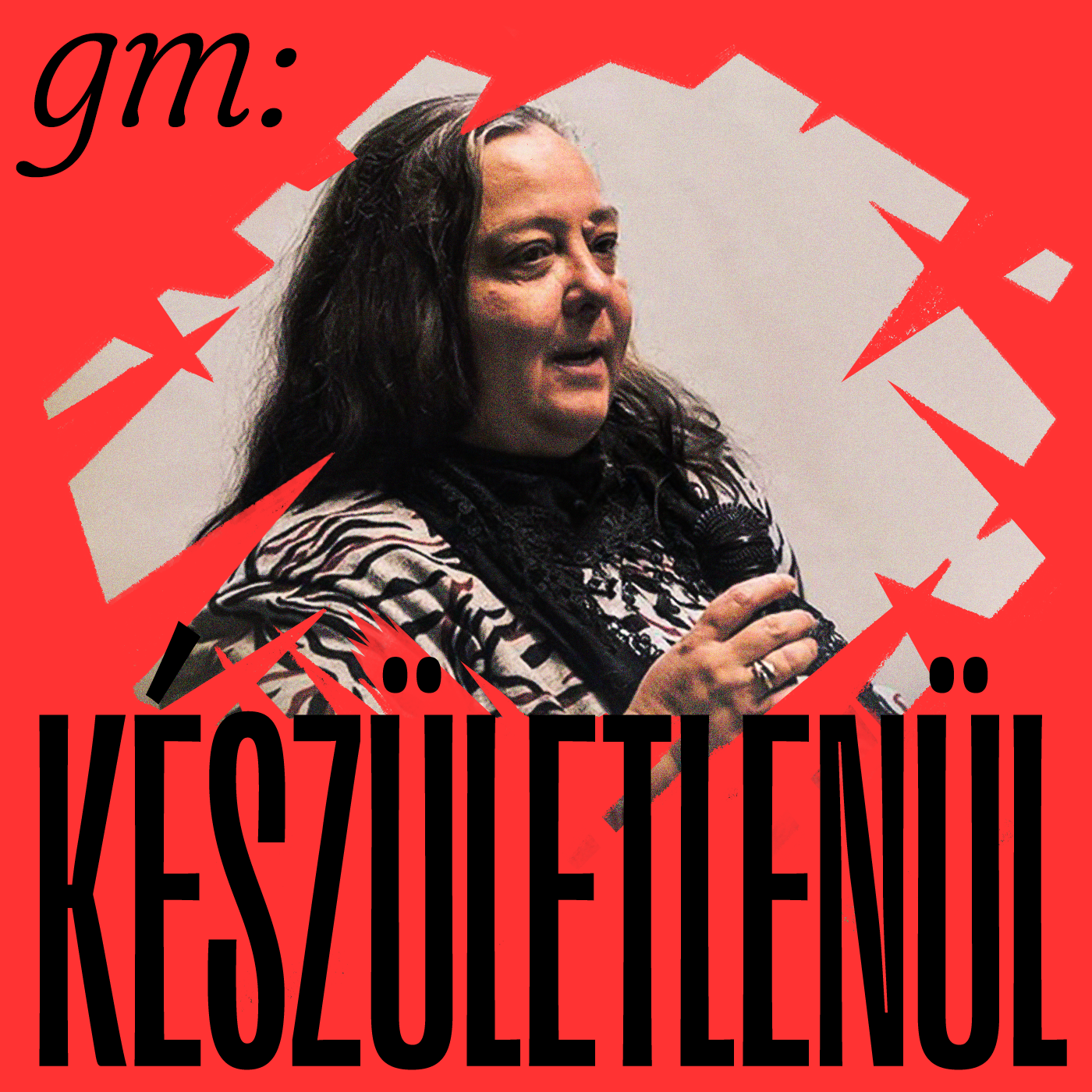 Partizán Podcast