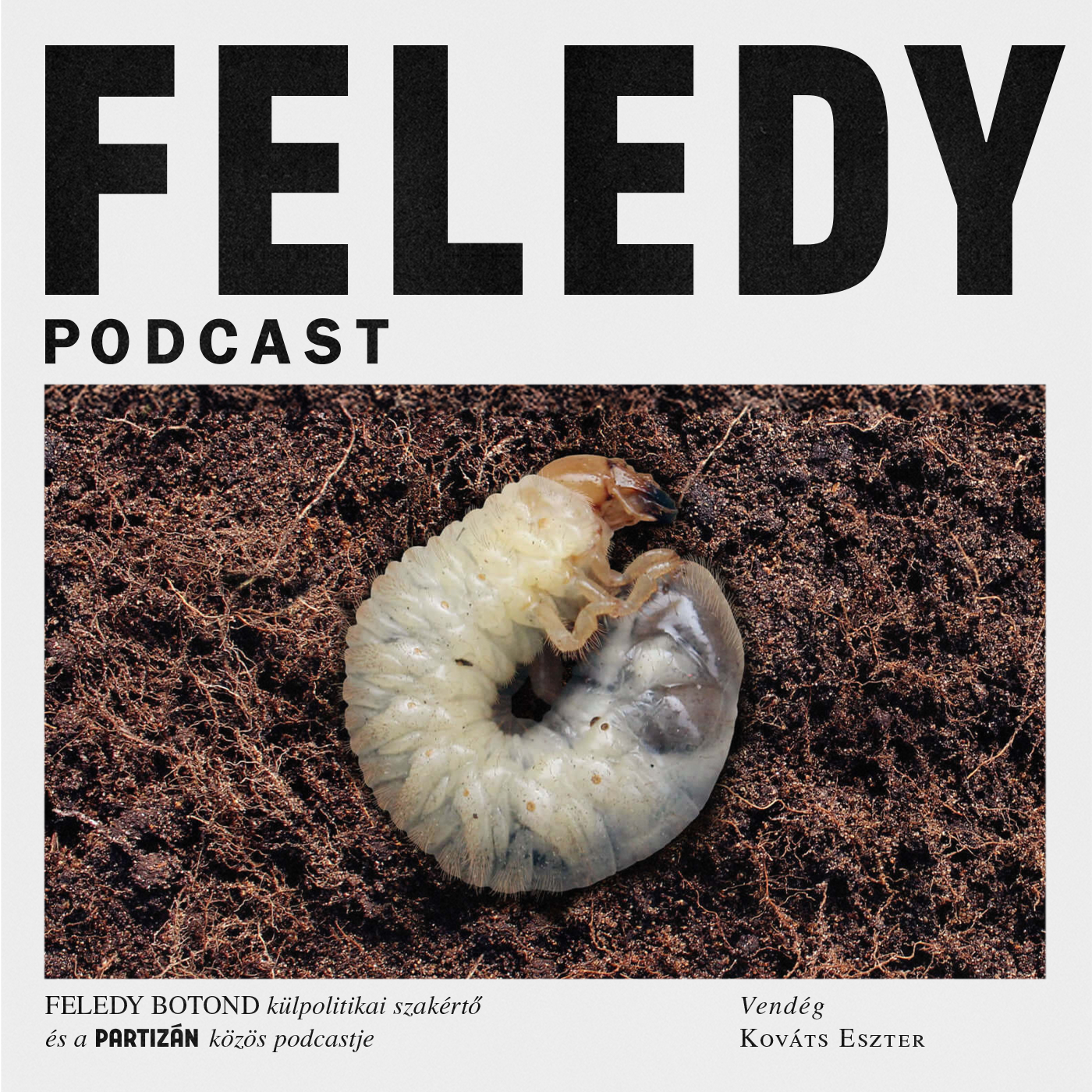 Ha én mondom, morális jóság, ha az ellenfél, dezinformáció – a politikai kommunikáció ereje | Feledy