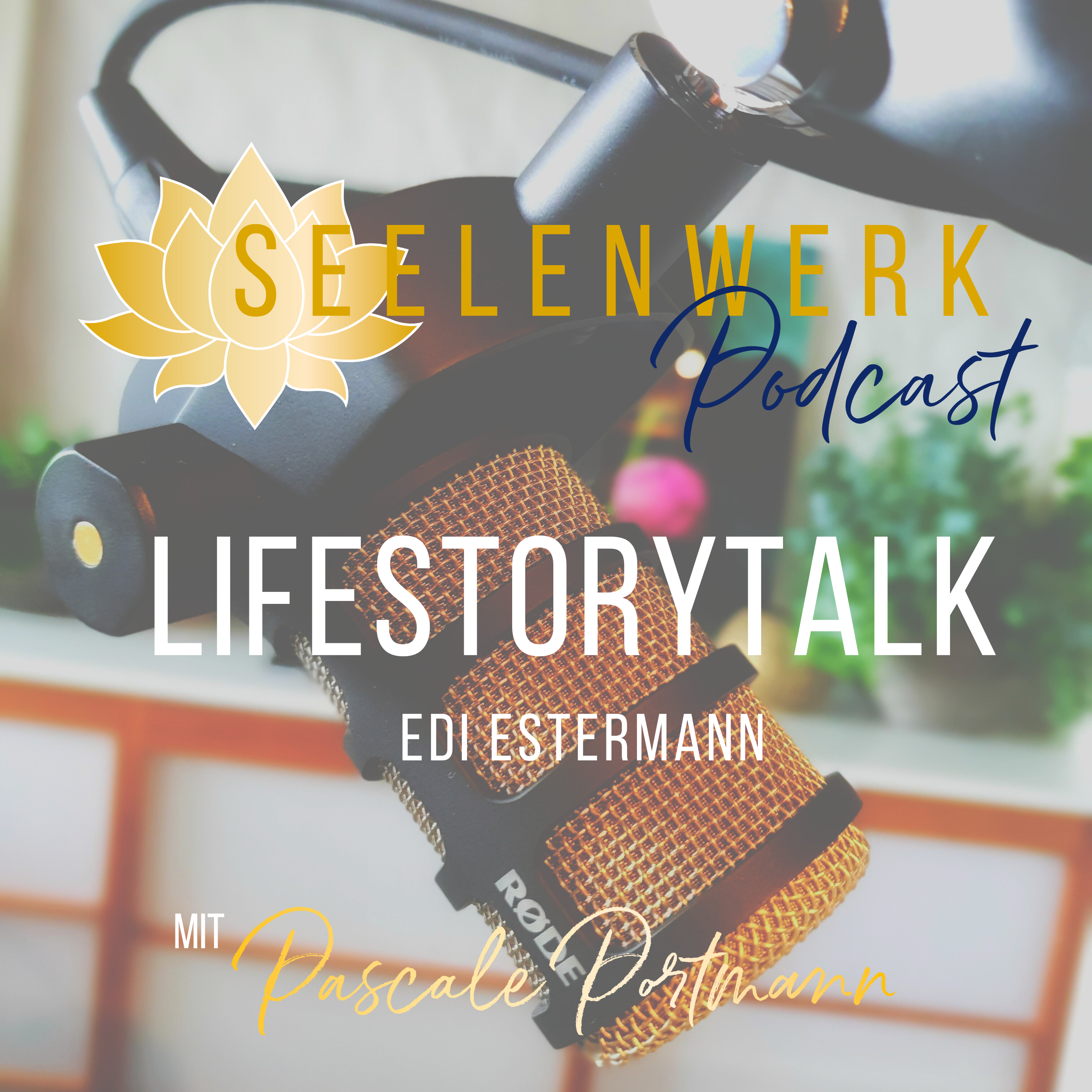 SeelenWerk Podcast🪷