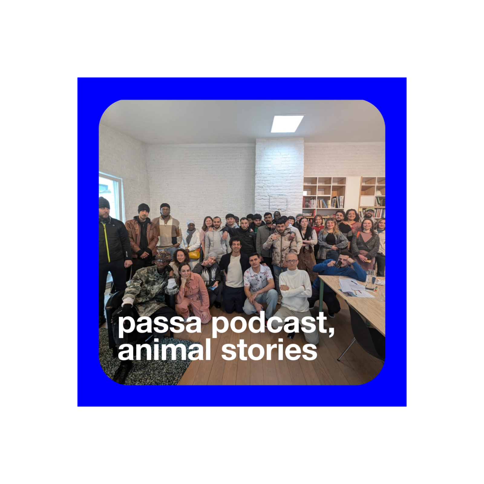 Passa Podcast - Animal Stories cover art