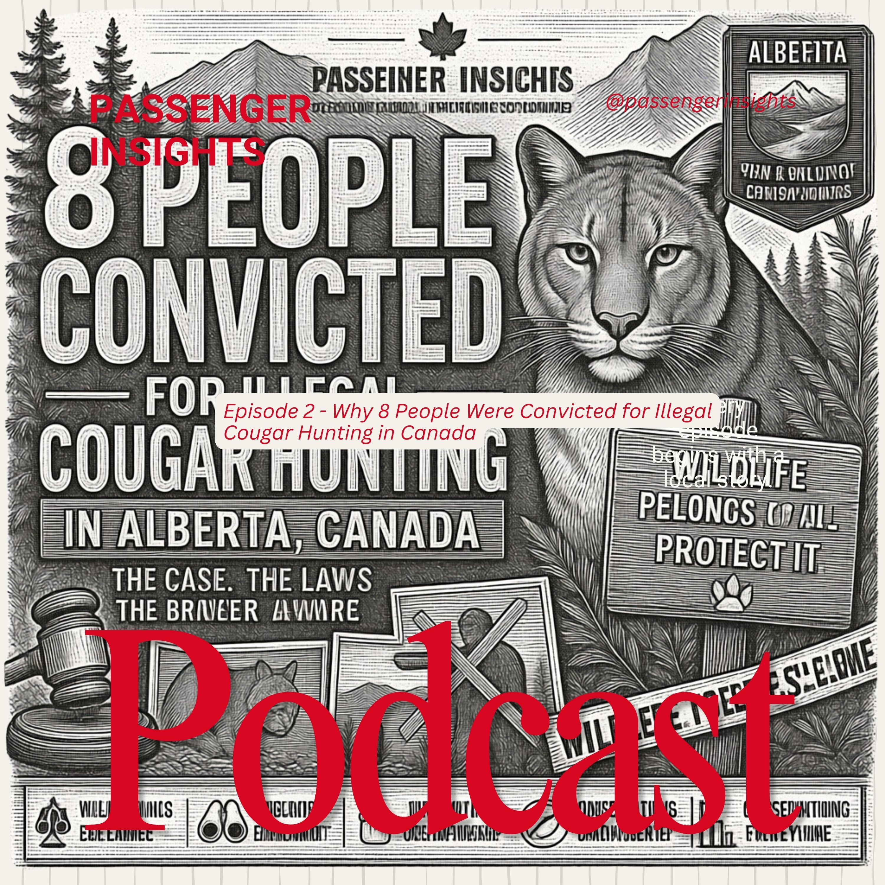 Why 8 People Were Convicted for Illegal Cougar Hunting in Canada episode artwork