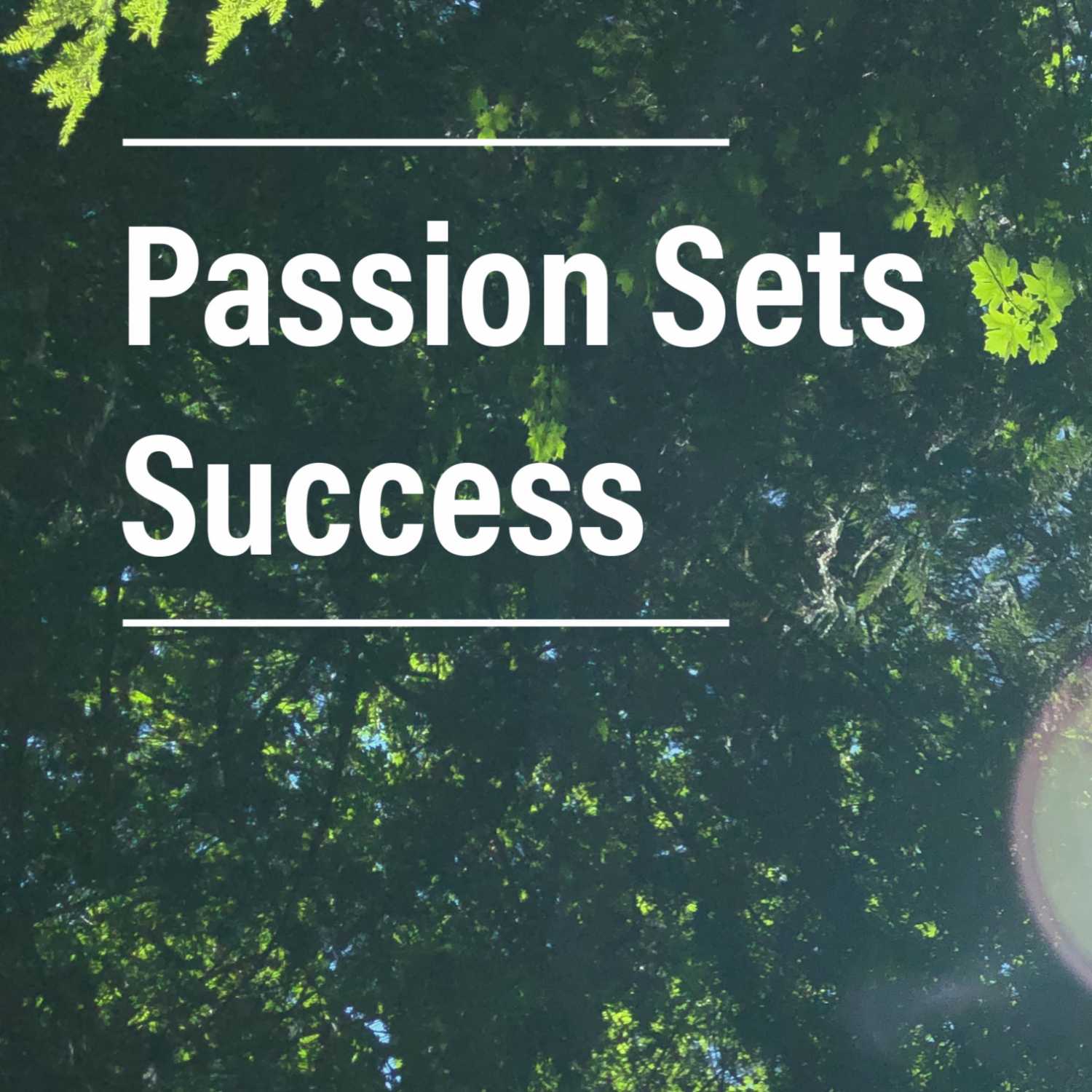 Passion Sets Success - A Sneak Peek episode artwork