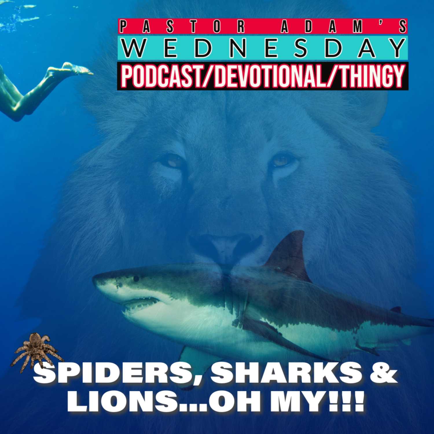 PASTOR ADAM\'S PODCAST