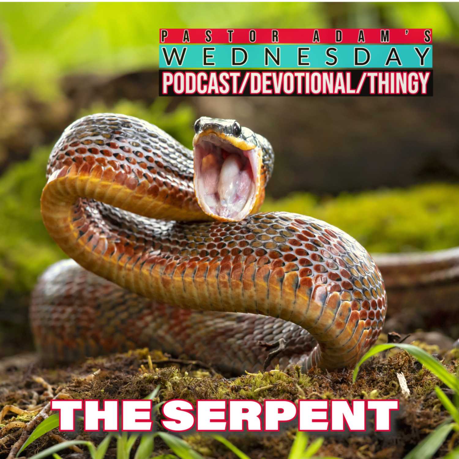PASTOR ADAM\'S PODCAST
