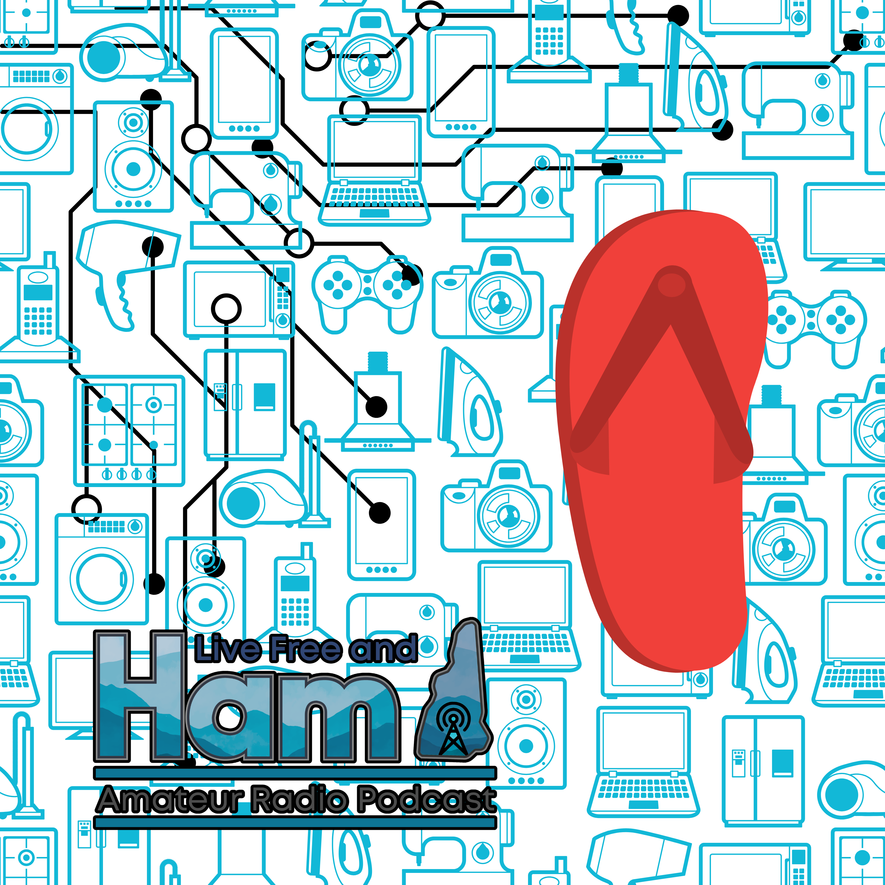Four flip-flops walk into a divider… episode artwork