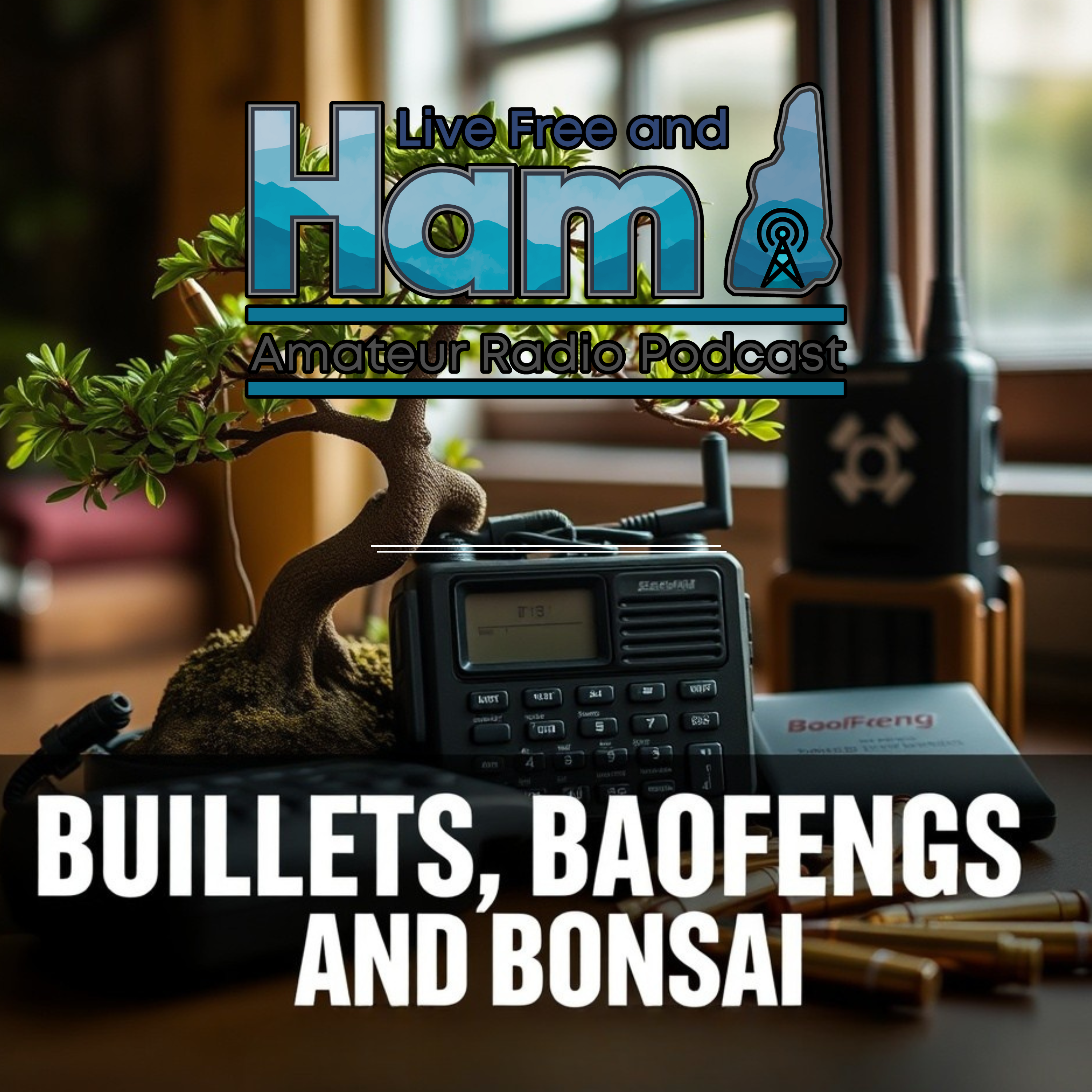 Bullets, BaoFengs, And Bonsai: Yes, We Went There episode artwork