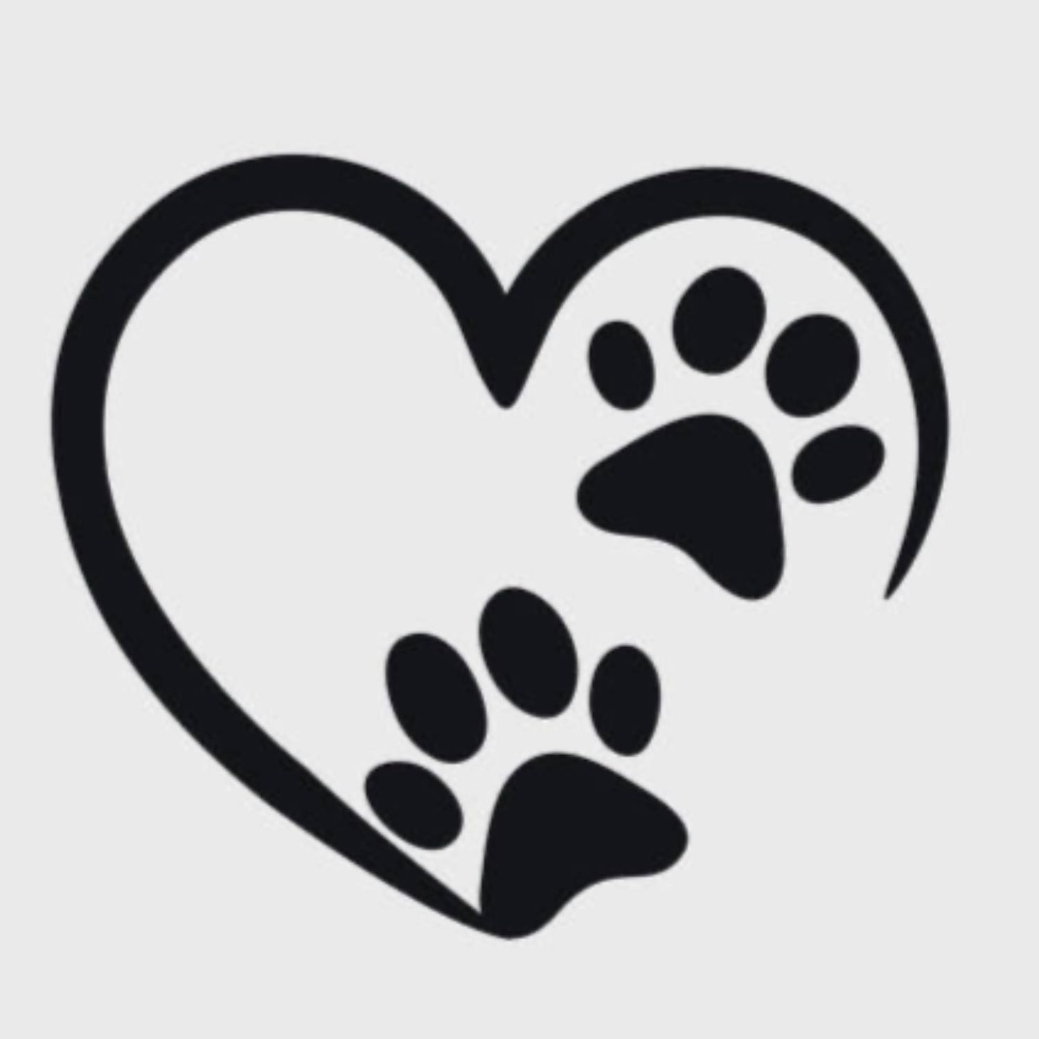 Nibbles and Bits: The Vet Med Podcast