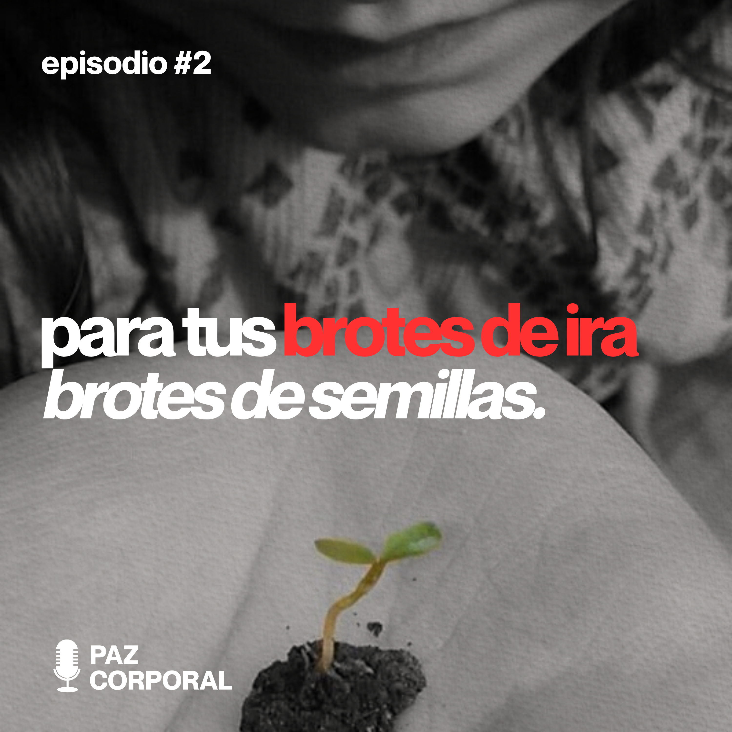 Para tus brotes de rabia, brotes de semillas. Un proceso psicosomático simple para liberar la rabia y movilizar la energía hepática. episode artwork