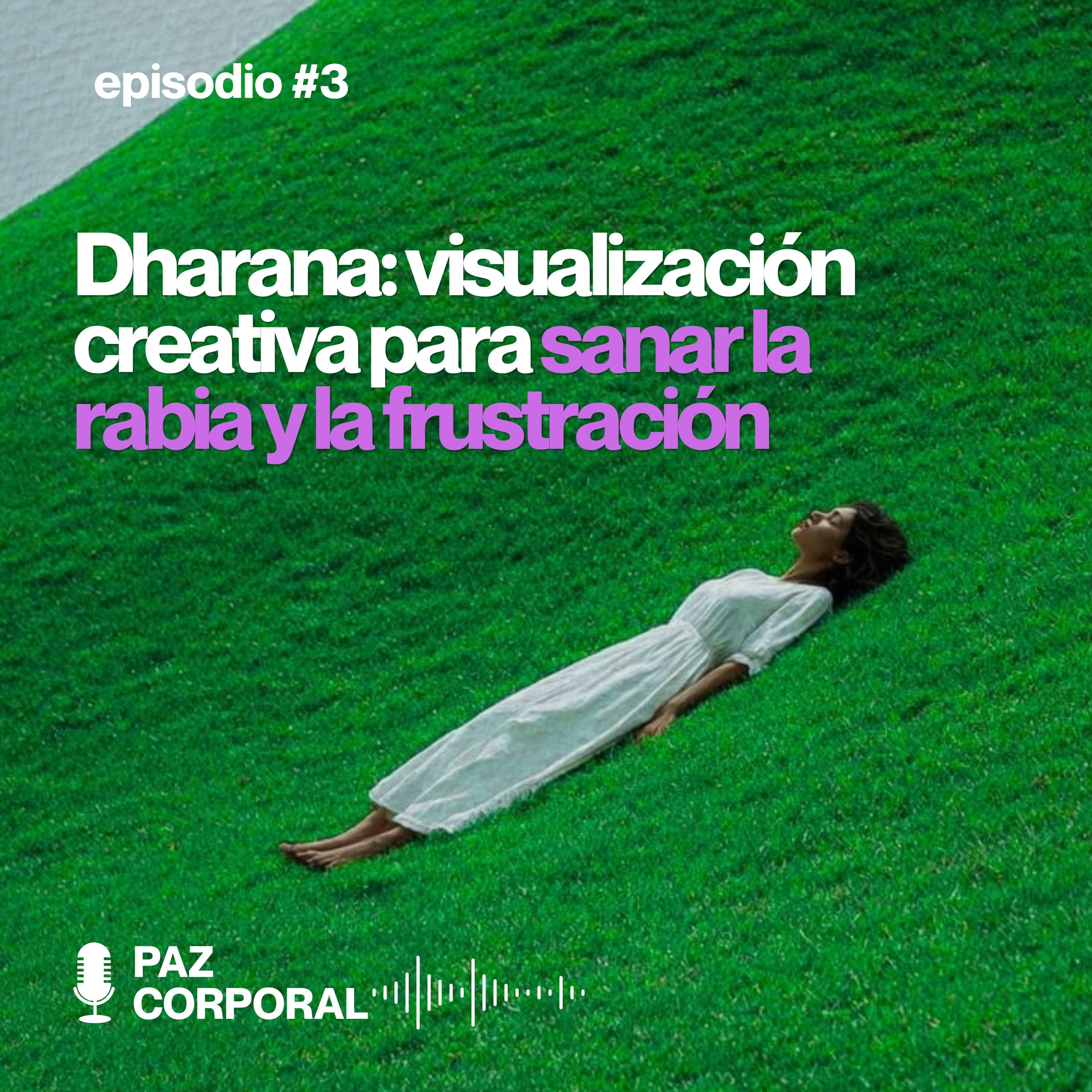 Para los brotes de ira, brotes de semillas — Visualización guiada para transformar la rabia en contentamiento episode artwork