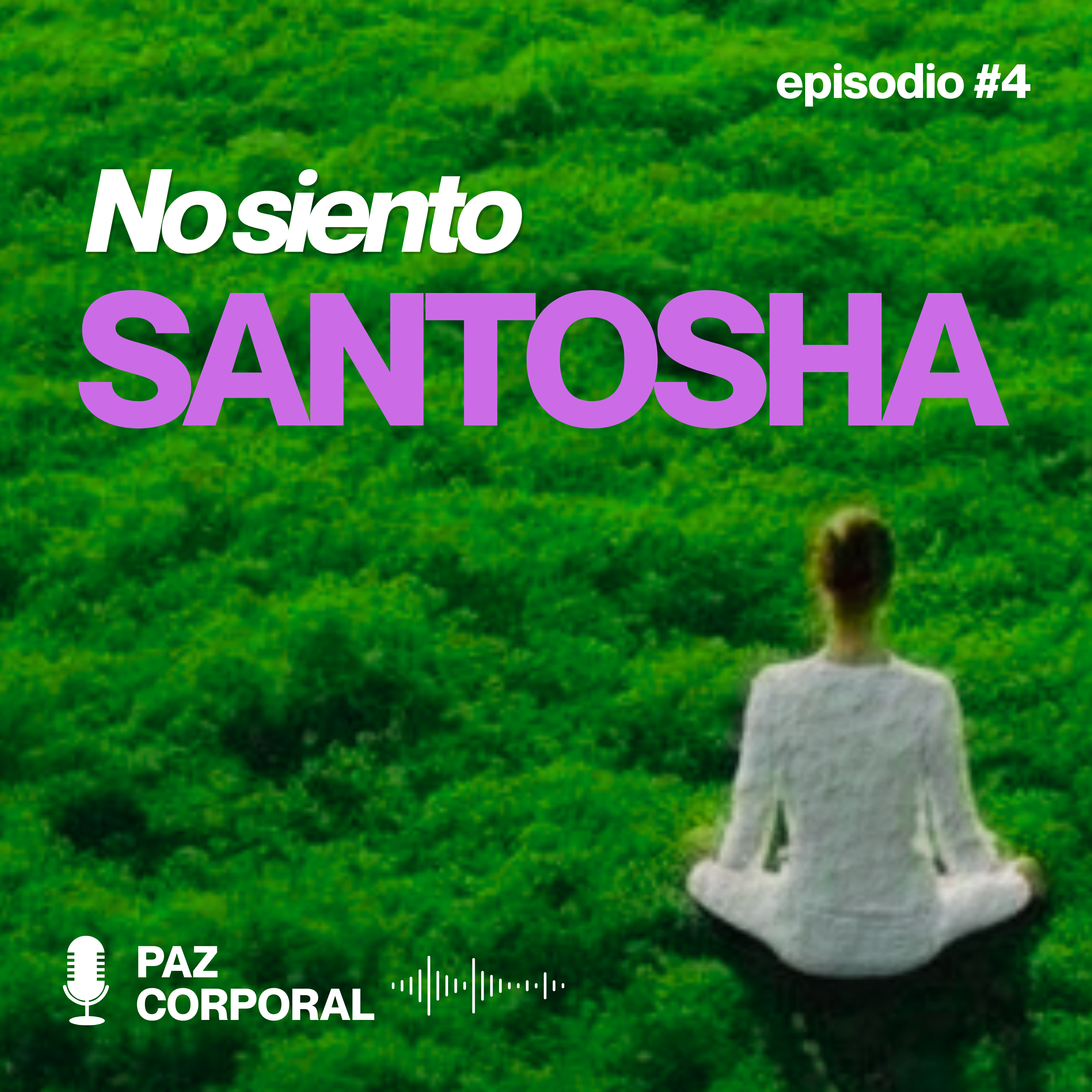 No siento Santosha: mi historia con la rabia y la frustración episode artwork