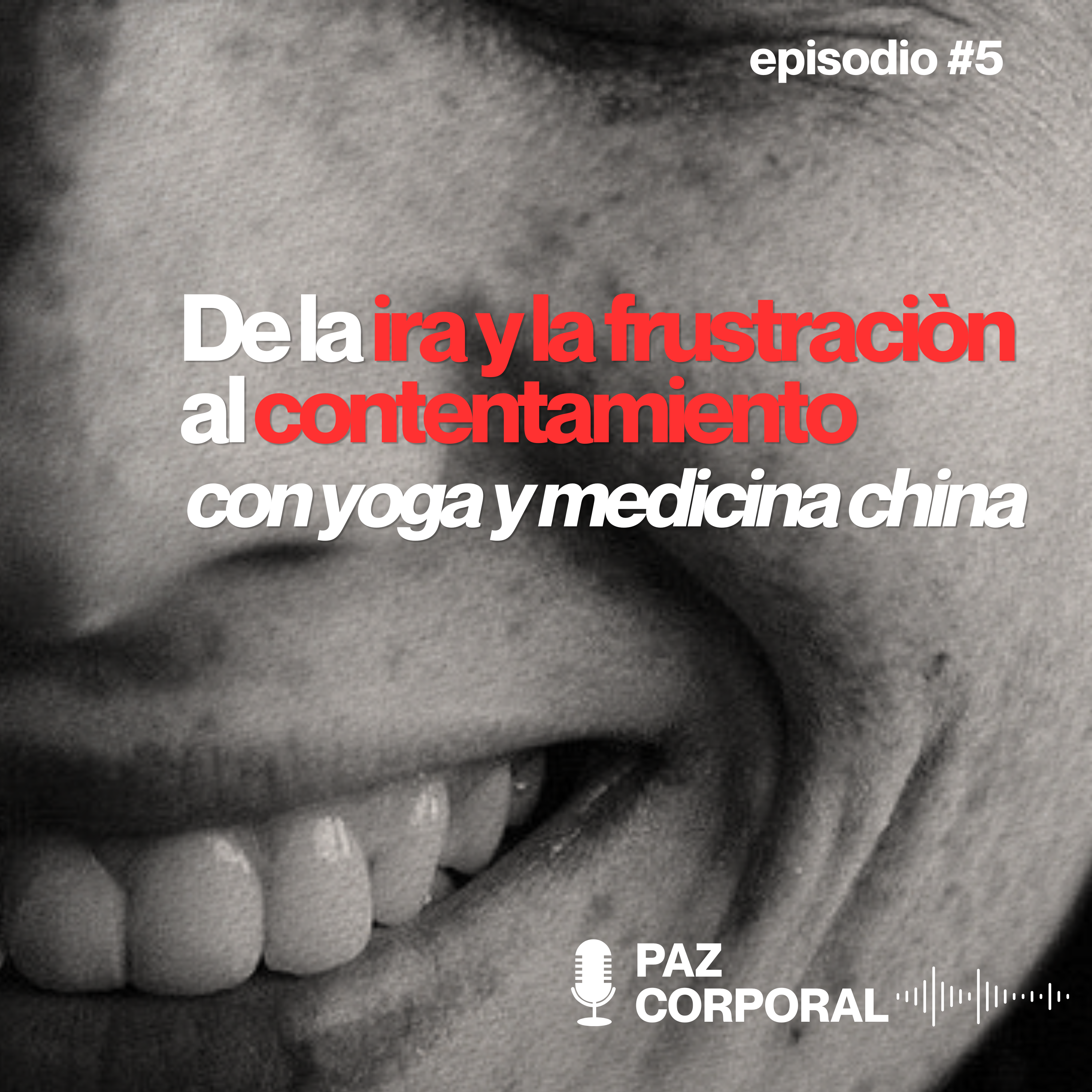 De la ira y la frustración al contentamiento: regulación psicosomática con yoga, nutrición y medicina china. episode artwork