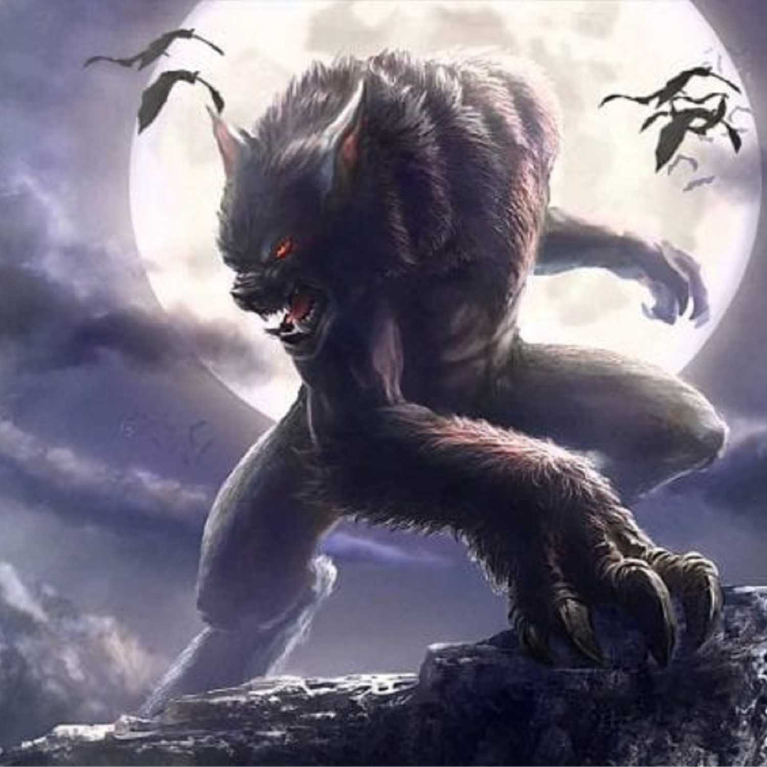 PCPS (Paranatural Cryptid Preservation Society and the Paranormal Umbrella)