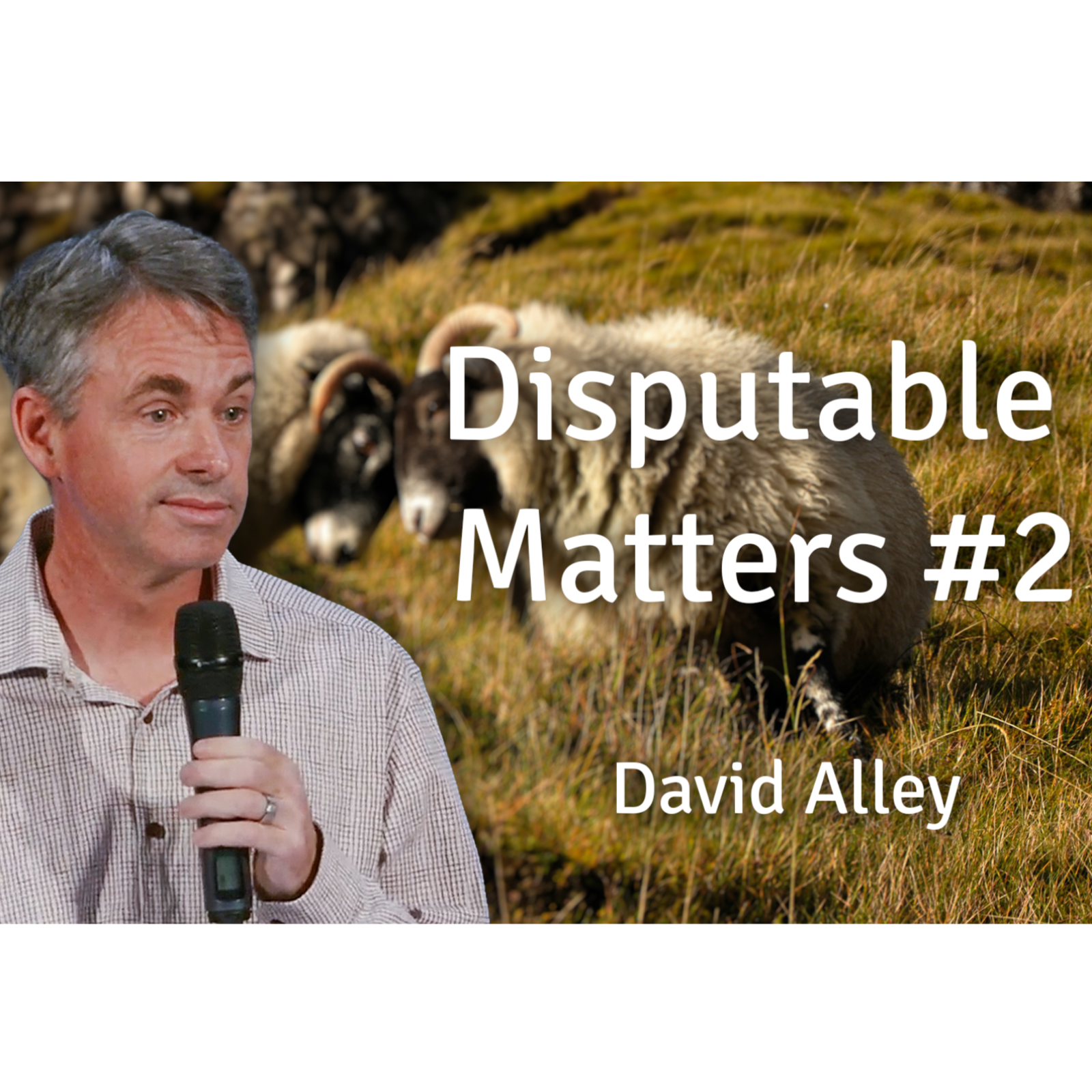 Disputing Matters #2 | David Alley | 16th November 2025