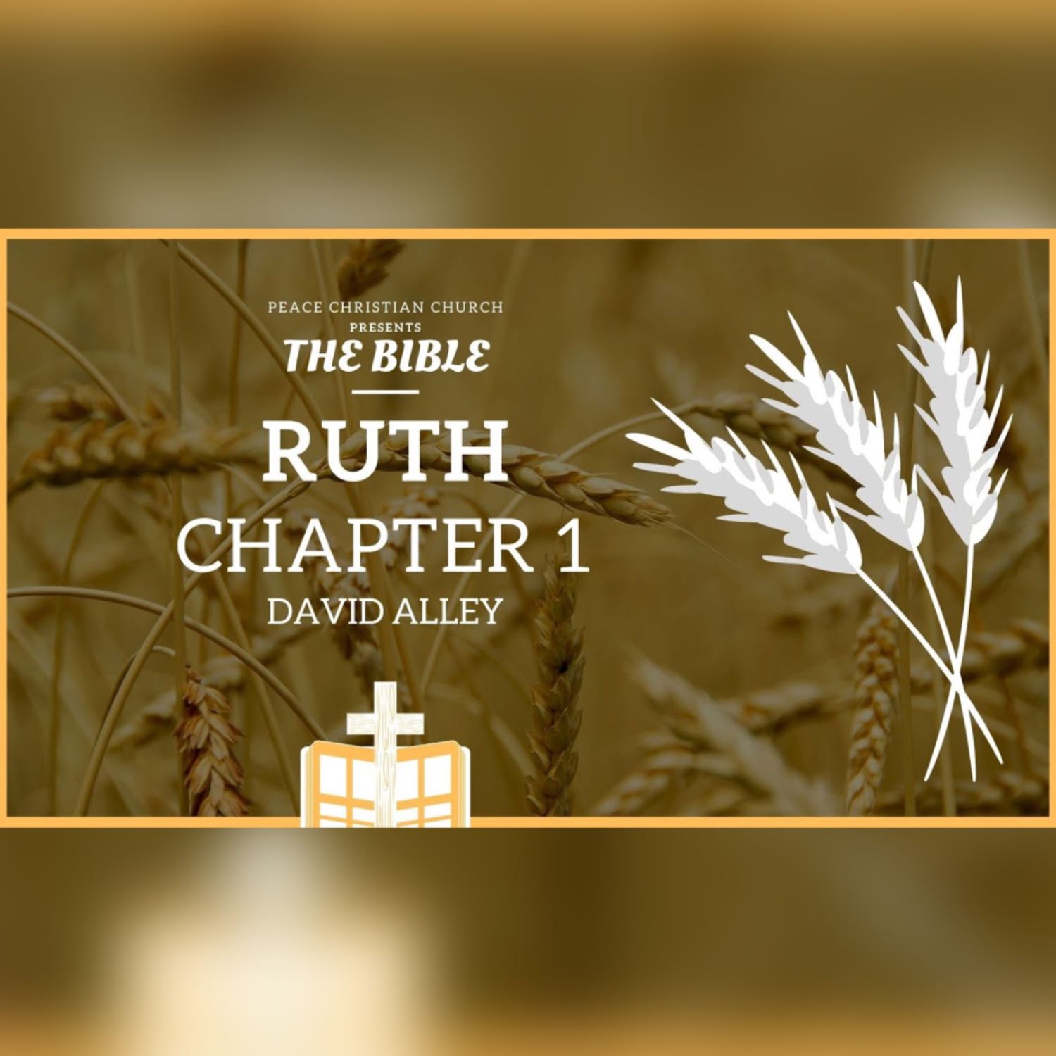 The Bible by David Alley