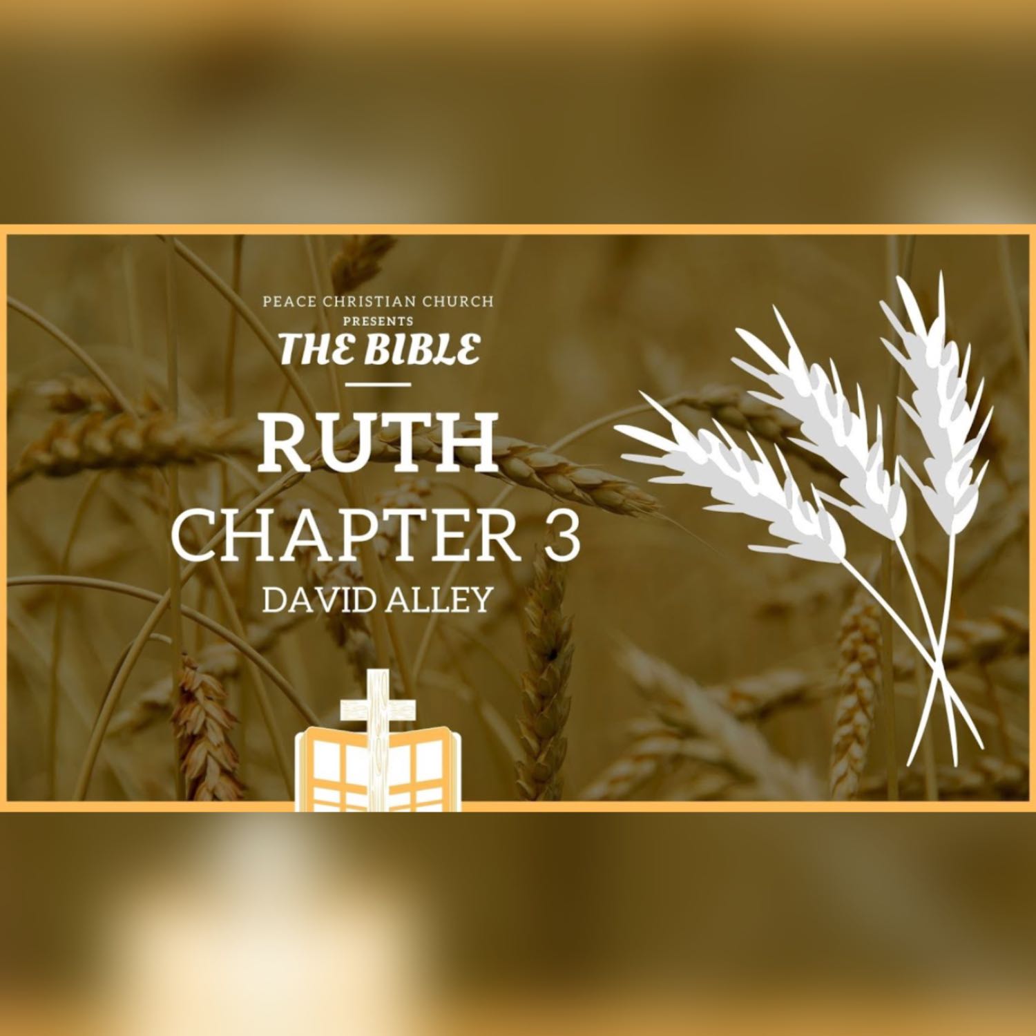 The Bible by David Alley