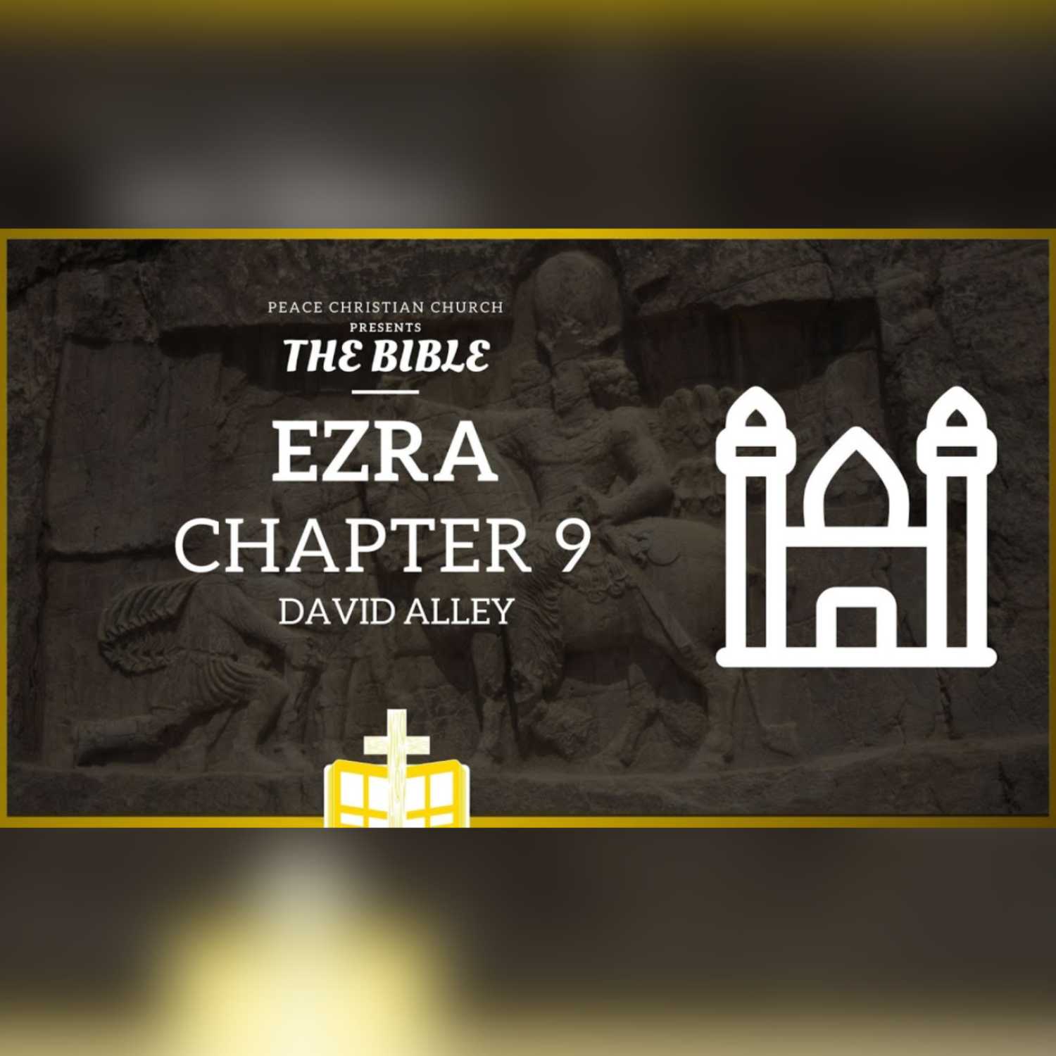 The Bible by David Alley