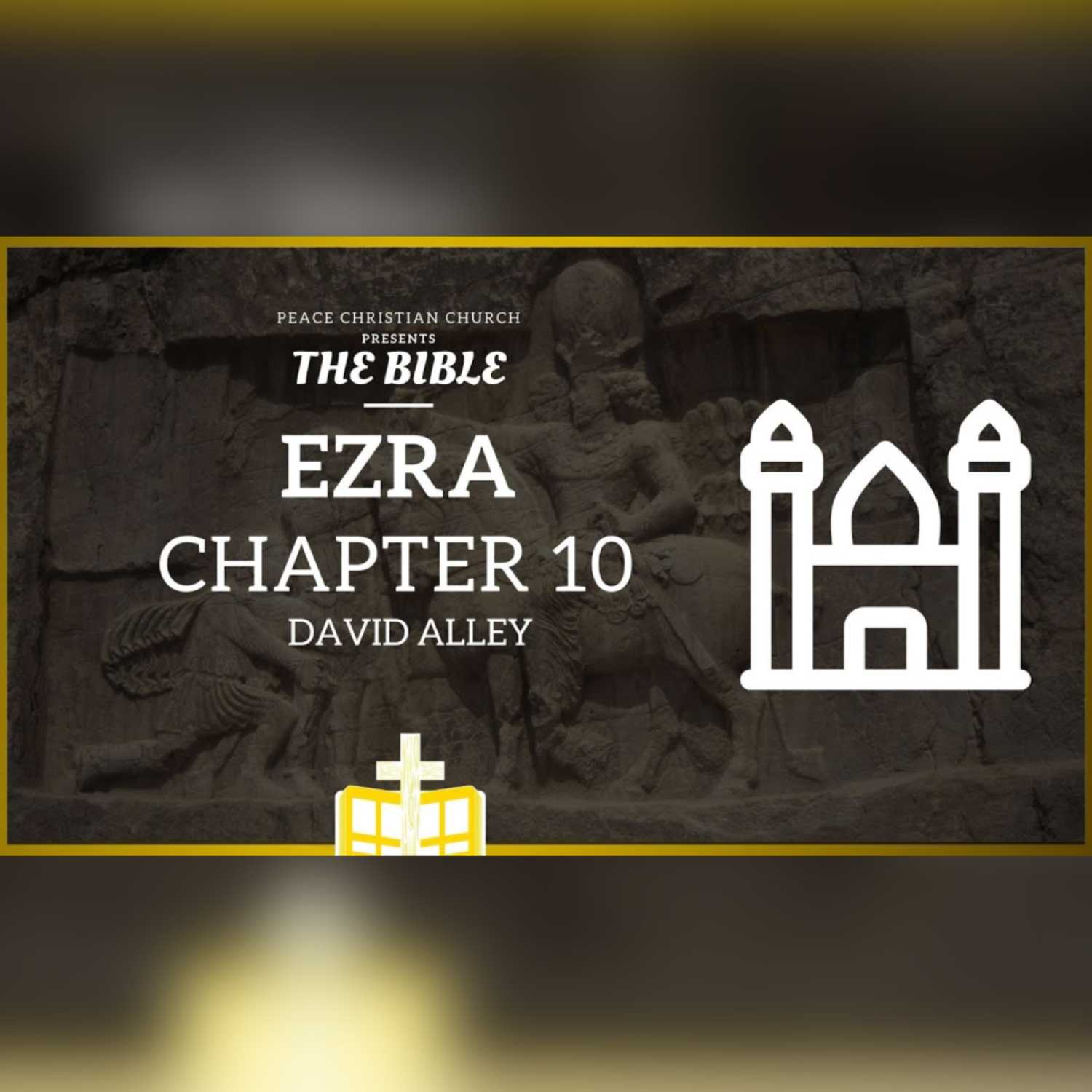 The Bible by David Alley