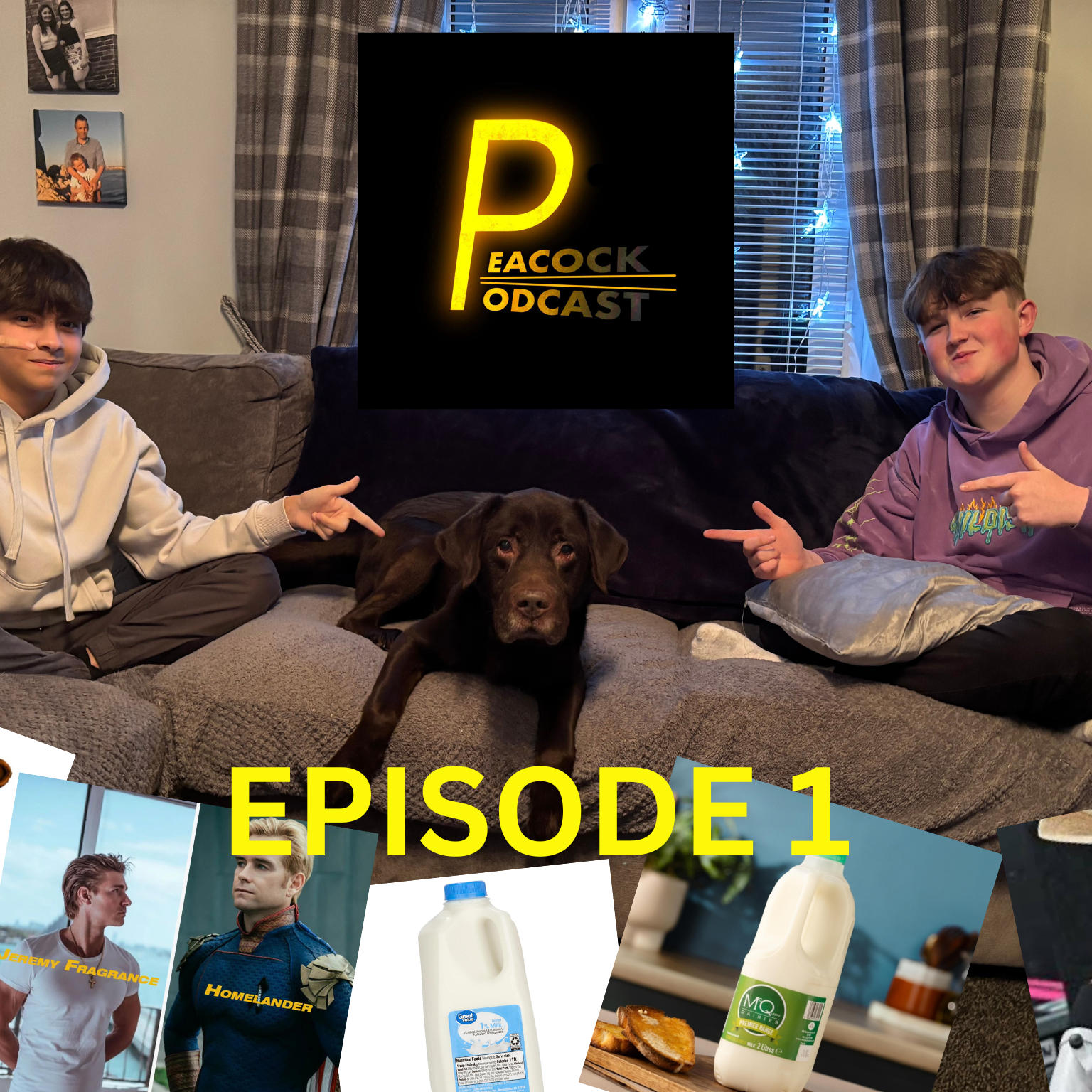 episode 1 episode artwork