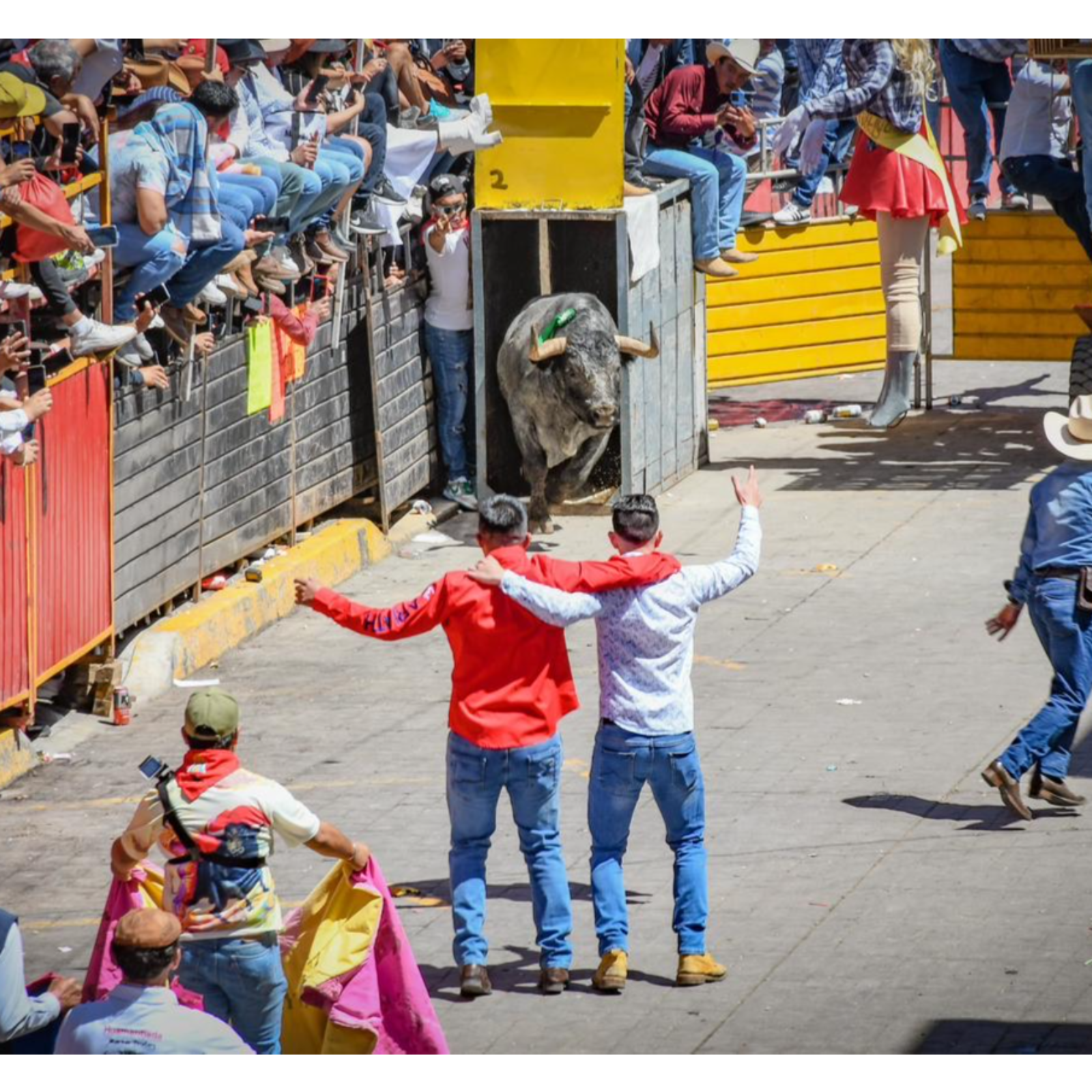 CUESTIONA MEDIO NACIONAL A LA HUAMANTLADA; LA CALIFICA COMO VIOLENCIA DISFRAZADA DE TRADICIÓN 🐂⚠️💥