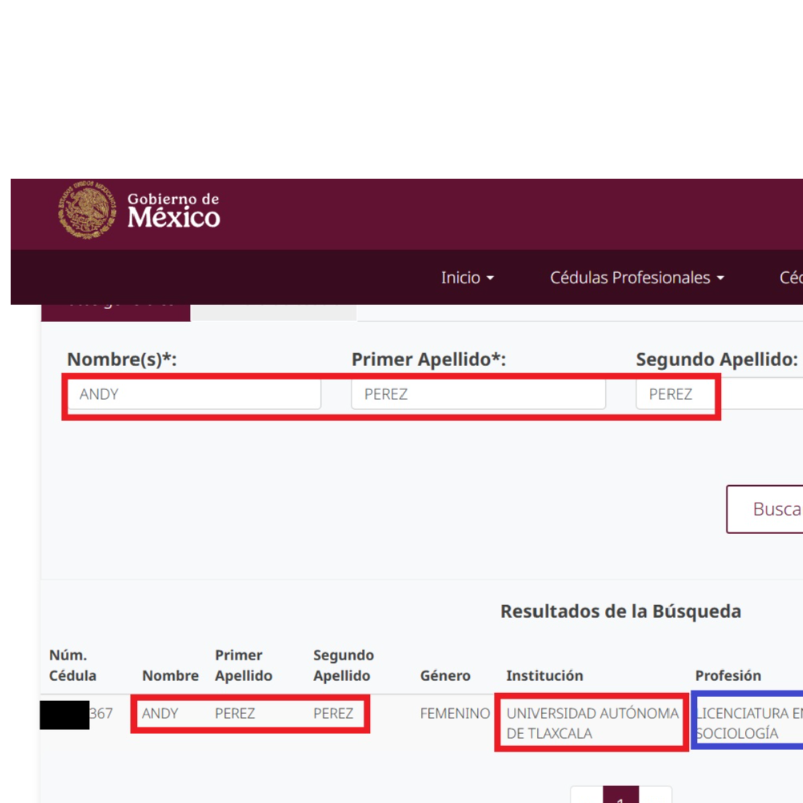 ACAPARA GOBERNADORA PUESTOS EN EL TSJ: IMPONE A SU EXASISTENTE ANDY PÉREZ COMO JEFA DE DEPARTAMENTO 😠⚖️💼