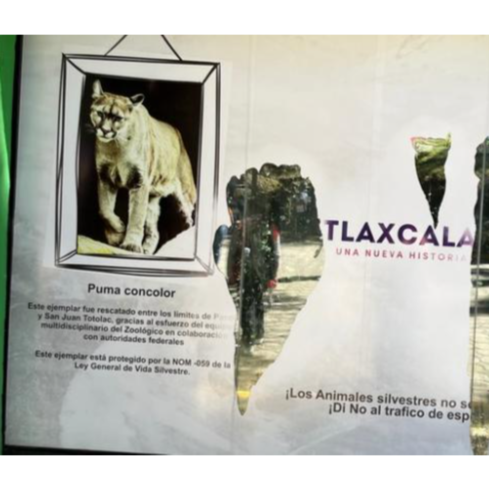 🦒 ENFRENTA ZOOLÓGICO DEL ALTIPLANO DOBLE DESAFÍO: FINANCIAMIENTO Y CONDUCTA DE VISITANTES 🦓🐘