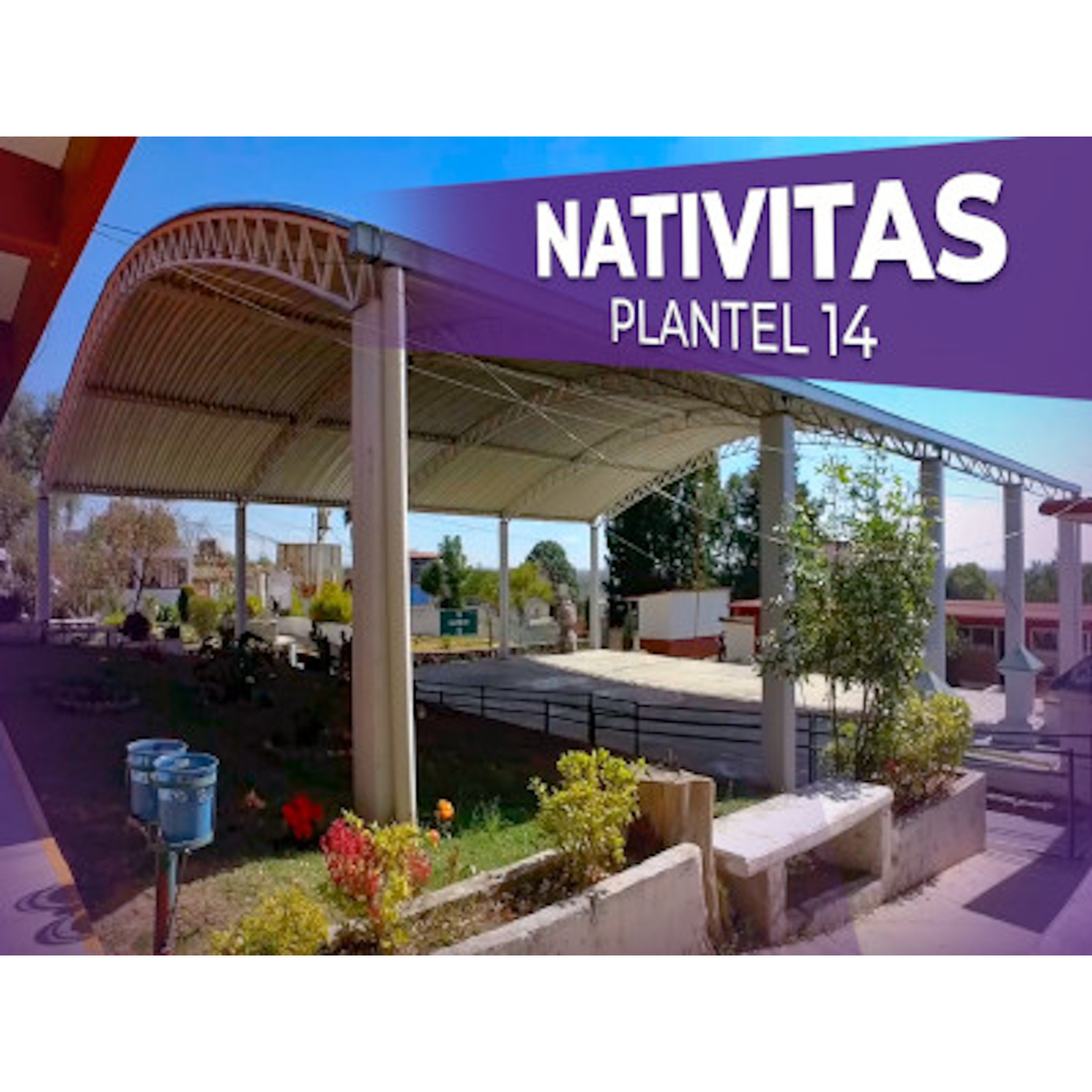 INICIA CEDHT INVESTIGACIÓN POR POSIBLES OMISIONES DE DIRECTIVOS DEL COBAT DE NATÍVITAS TRAS AGRESIÓN A ESTUDIANTE 😠📚