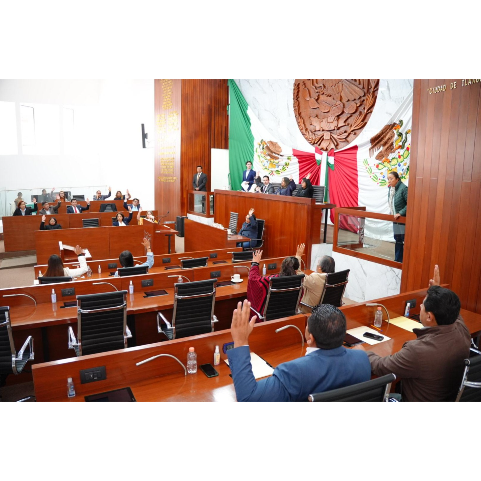 CONGRESO DE TLAXCALA EXHORTA A LOS 60 AYUNTAMIENTOS A ARMONIZAR SUS REGLAMENTOS DE BIENESTAR ANIMAL Y MOVILIDAD 🏛️🚗🐶