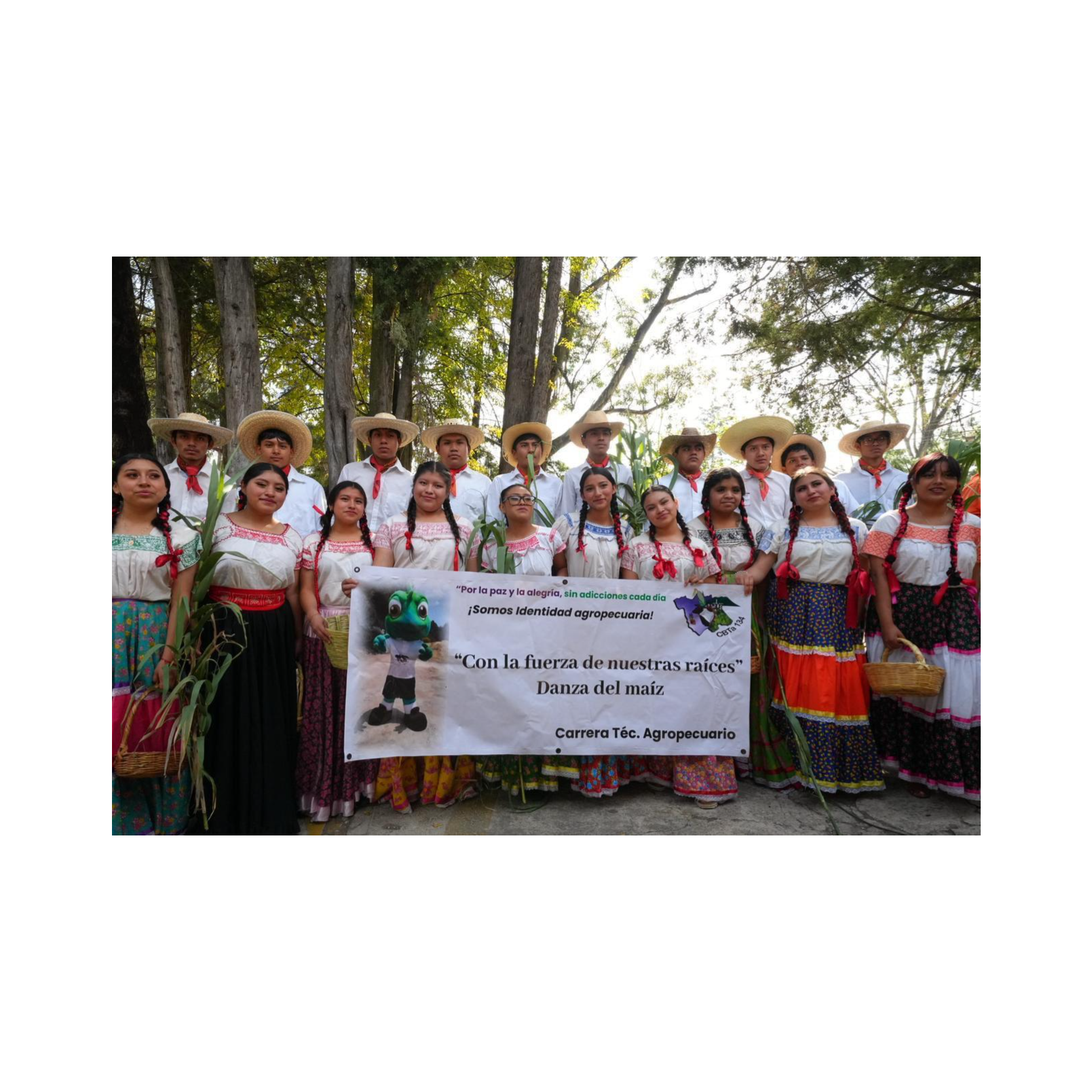 🎓📚 IMPULSA TLAXCALA MODELO NACIONAL DE BACHILLERATO UNIFICADO 🇲🇽✨