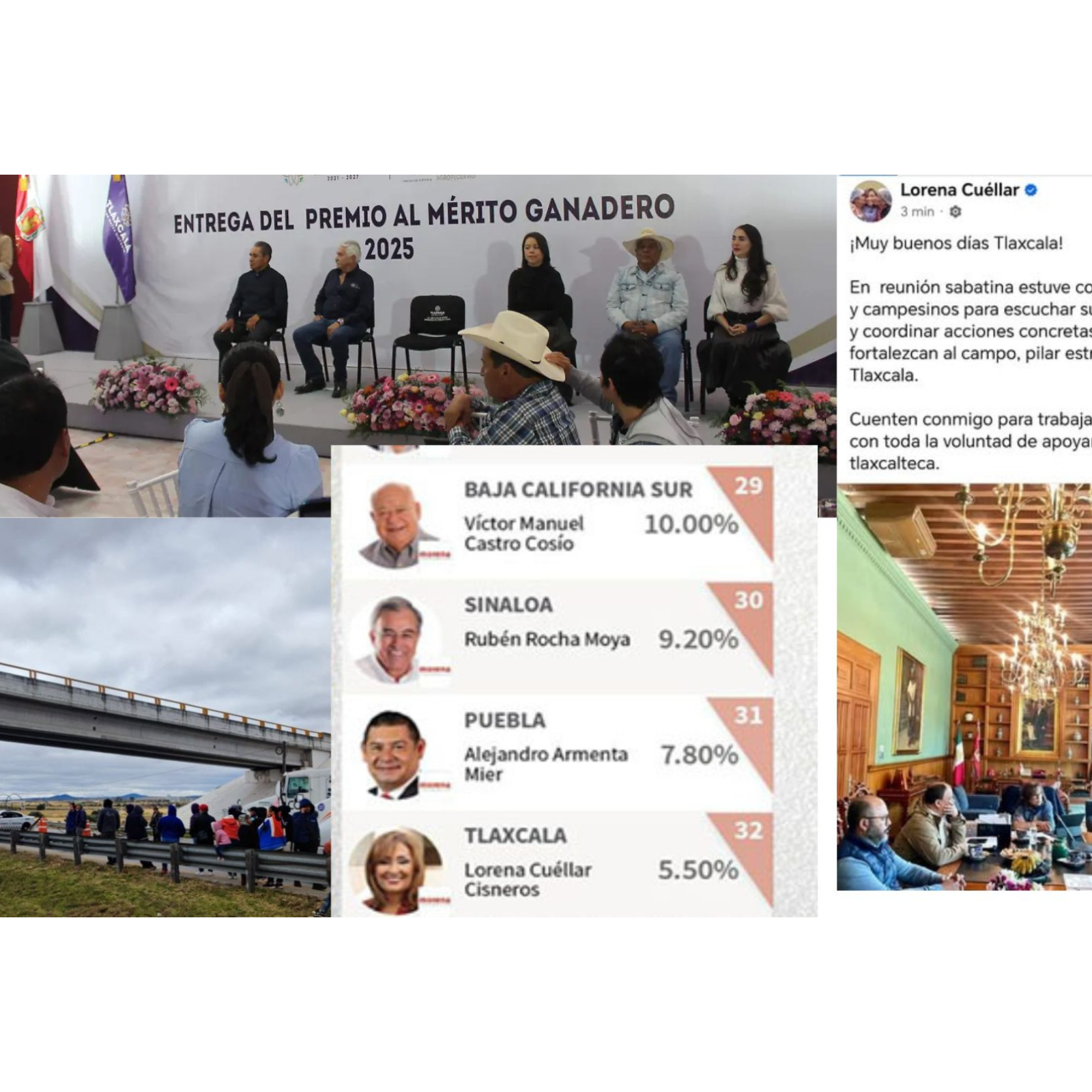 “LA REINA DEL CAMPO DE CARTÓN”