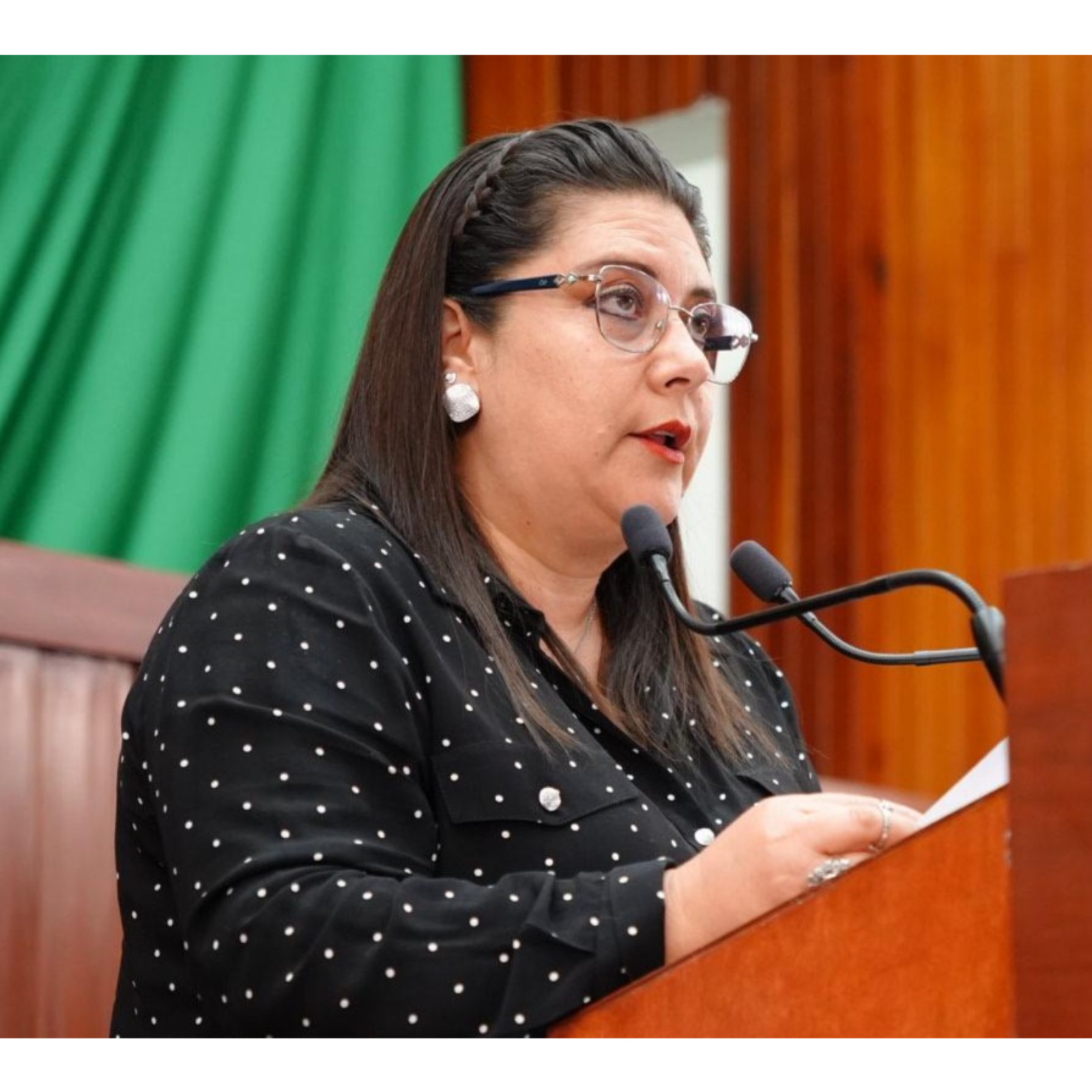 PROPONE LA DIPUTADA SORAYA BOCARDO CREAR LA FISCALÍA ESPECIALIZADA EN DELITOS CONTRA LOS ANIMALES EN EL ESTADO