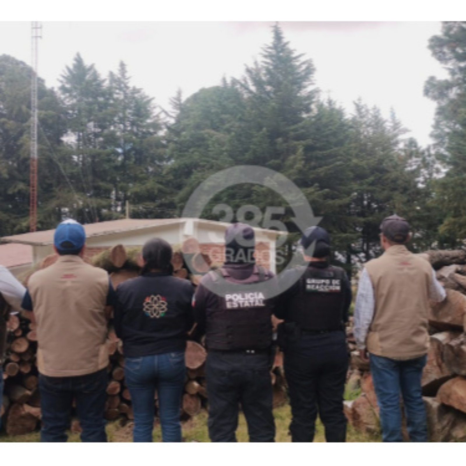 PROFEPA DESACTIVA HORNO CLANDESTINO EN LA MALINCHE: LA TALA ILEGAL SIGUE AVANZANDO A PESAR DE OPERATIVOS 🌲🚨🔥